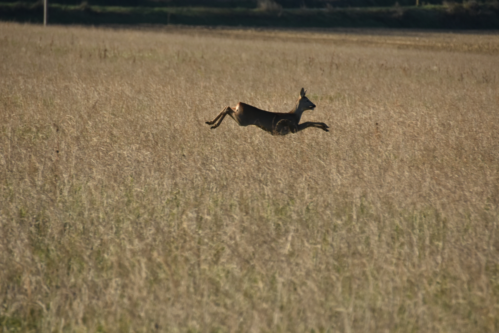Incontri inaspettati