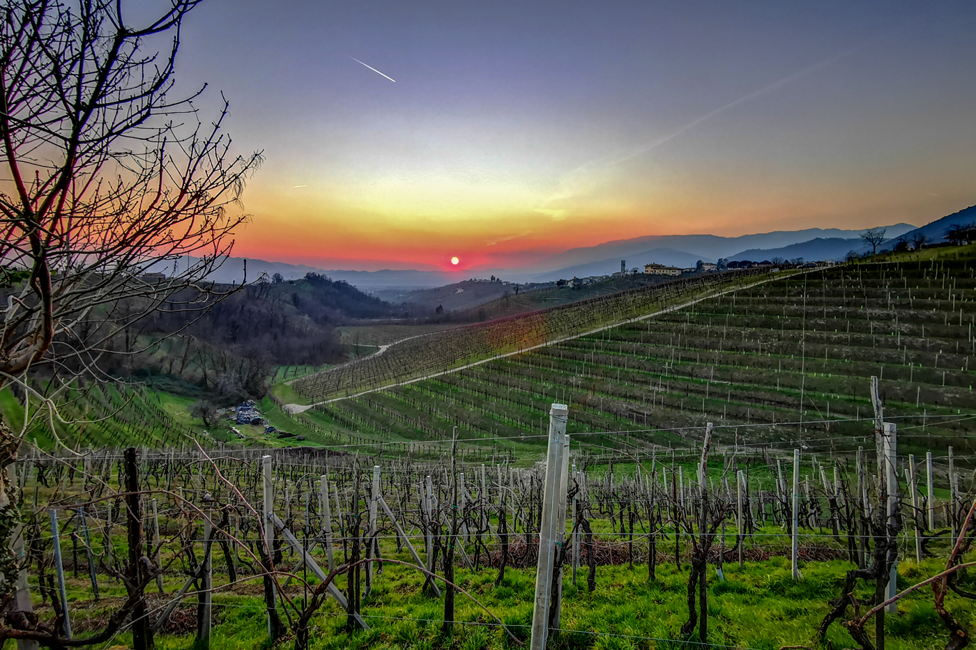 iLe vigne di Valdobbiadene