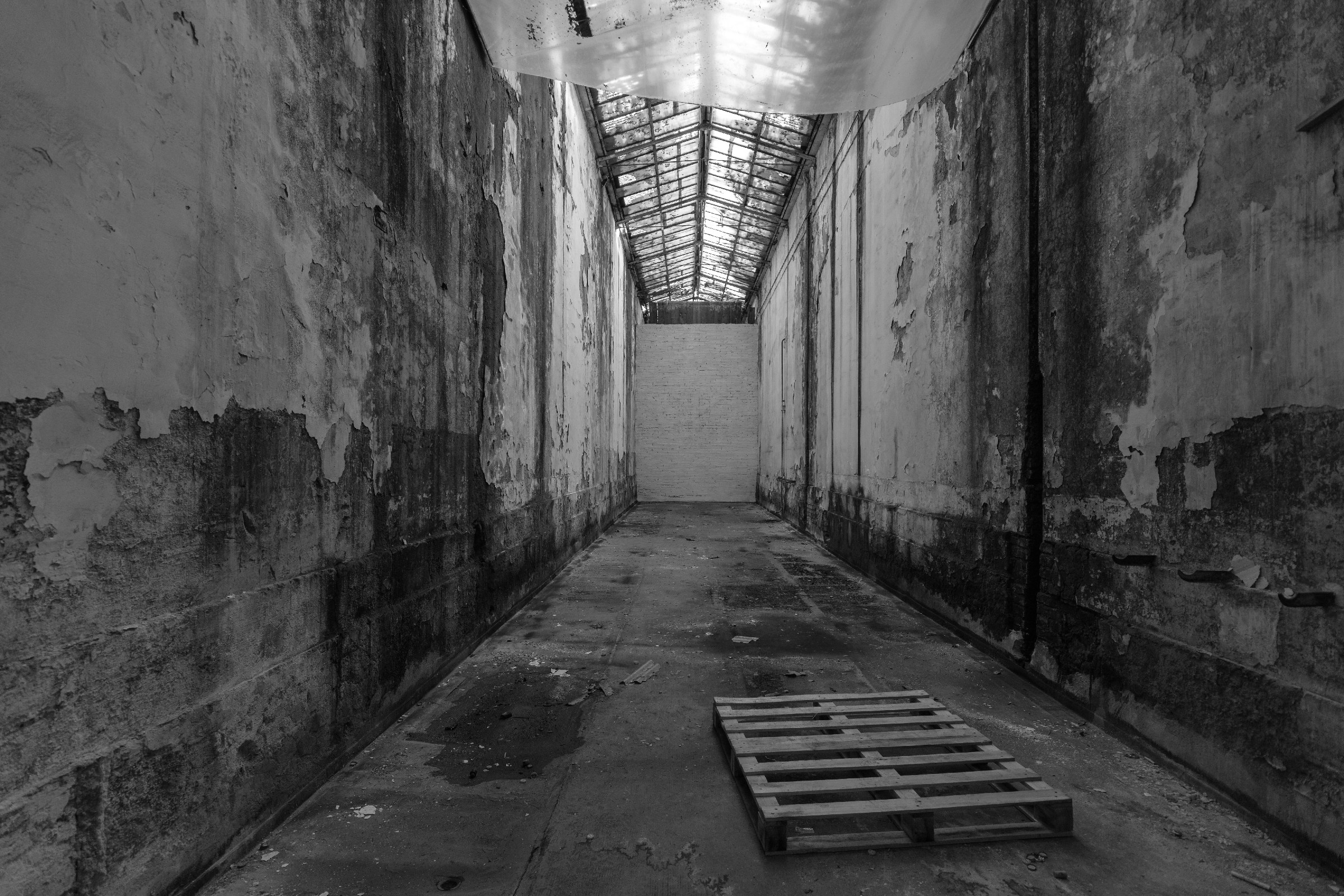 omaggio a Tarkovsky #1