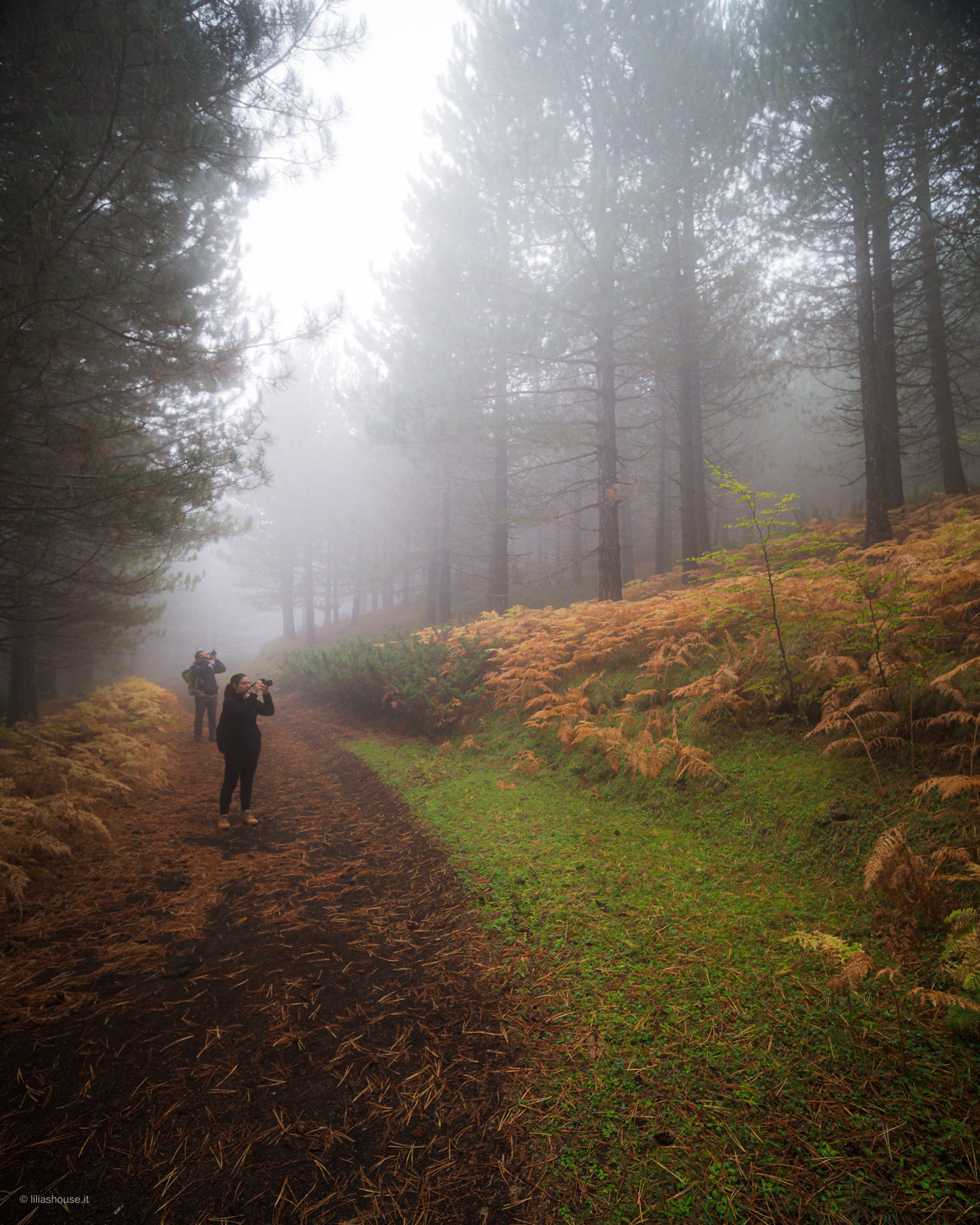 Photographing in the fog