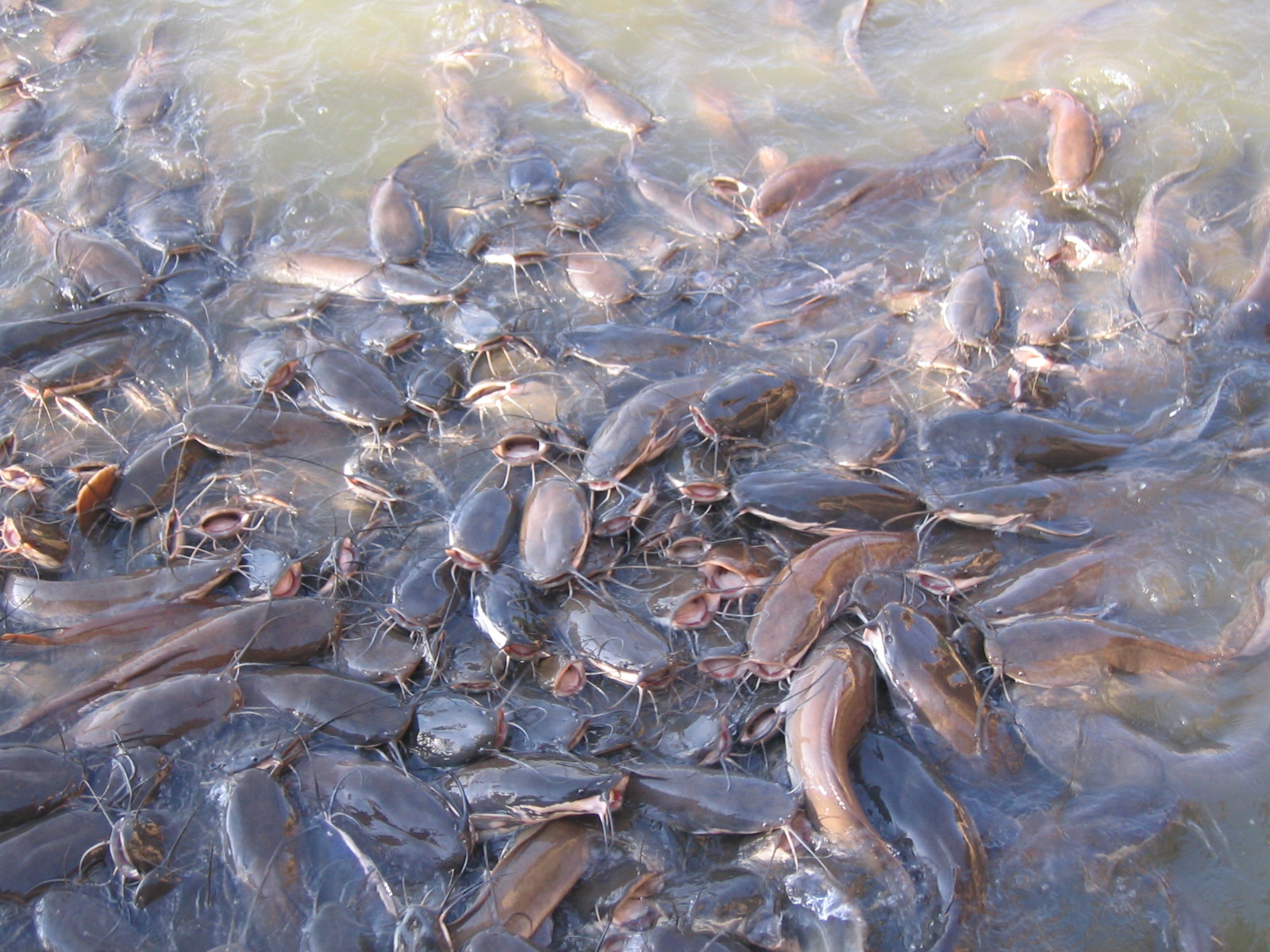 Too crowded, I need air ..