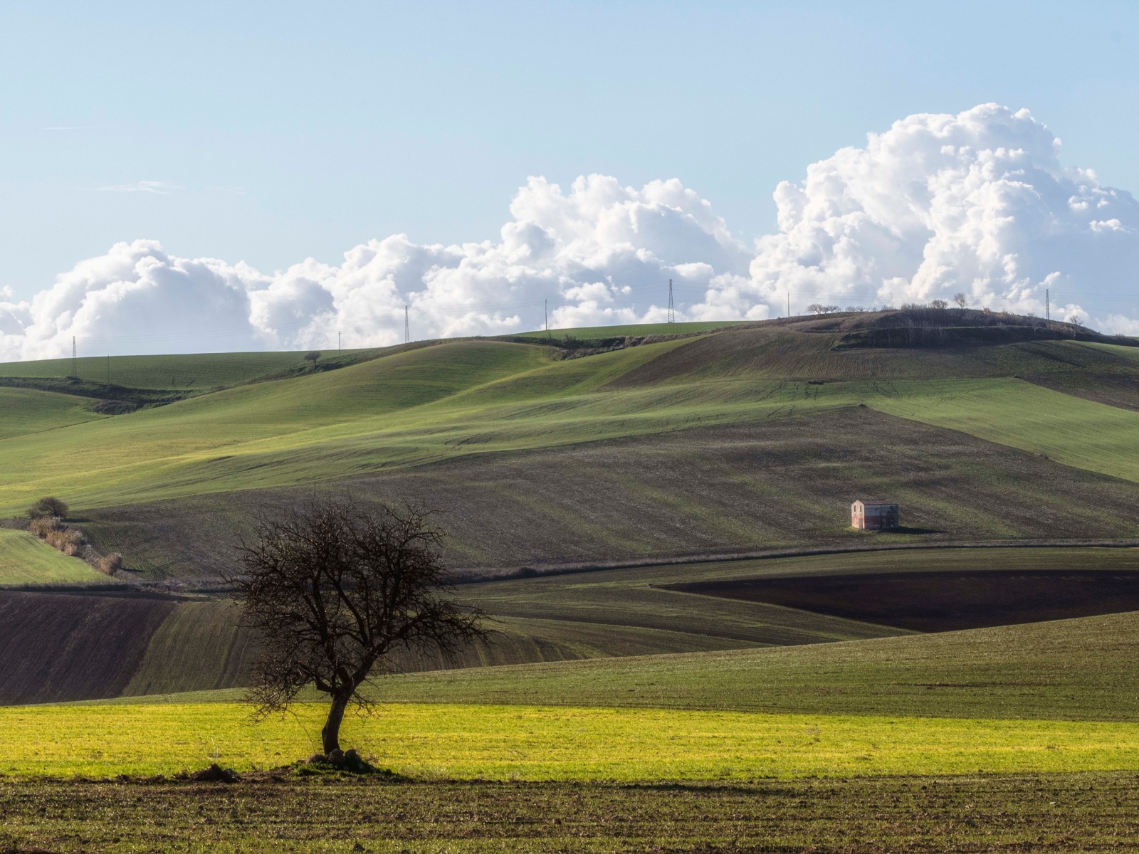Puglia with a thousand colors