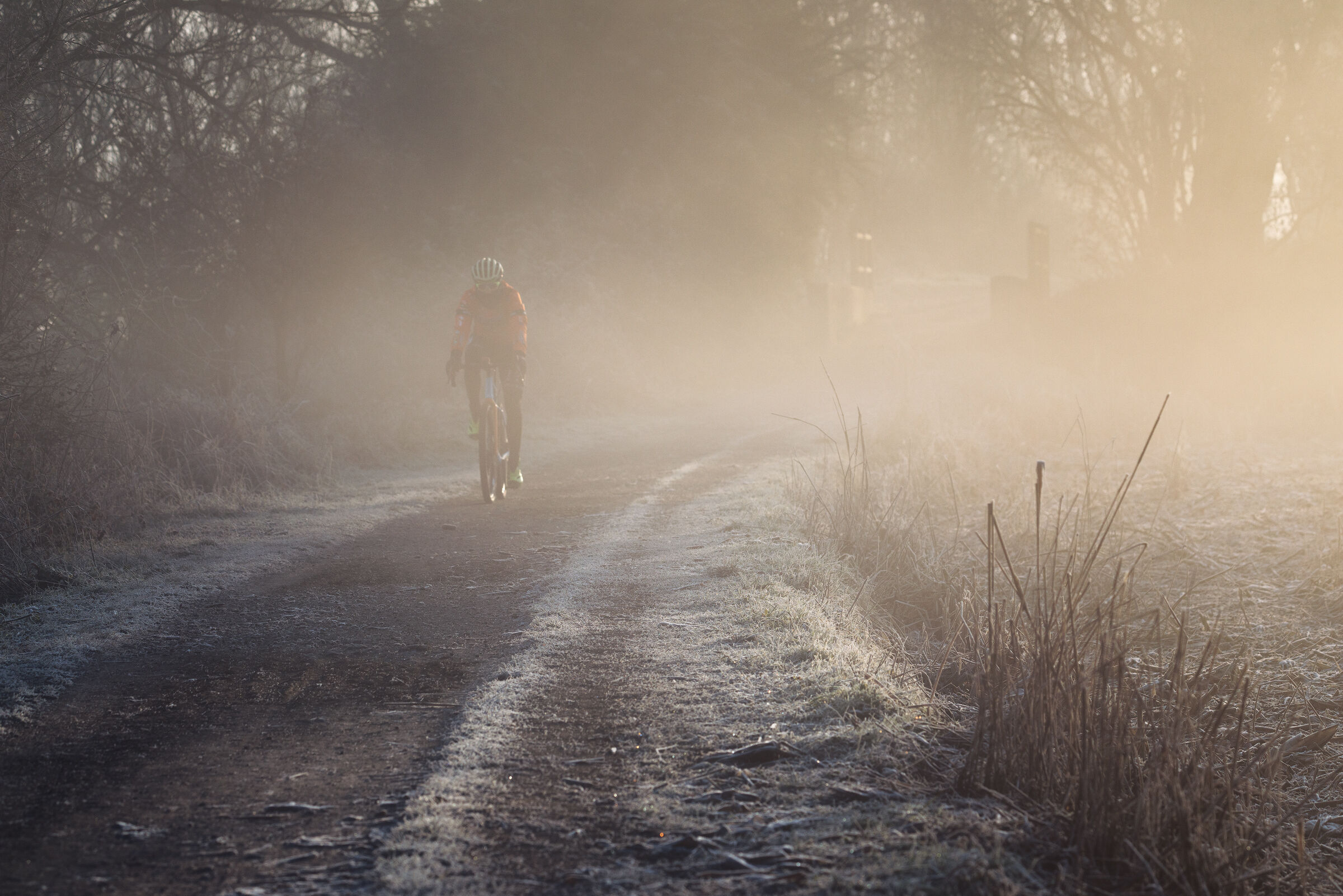 Cycling along the Adda