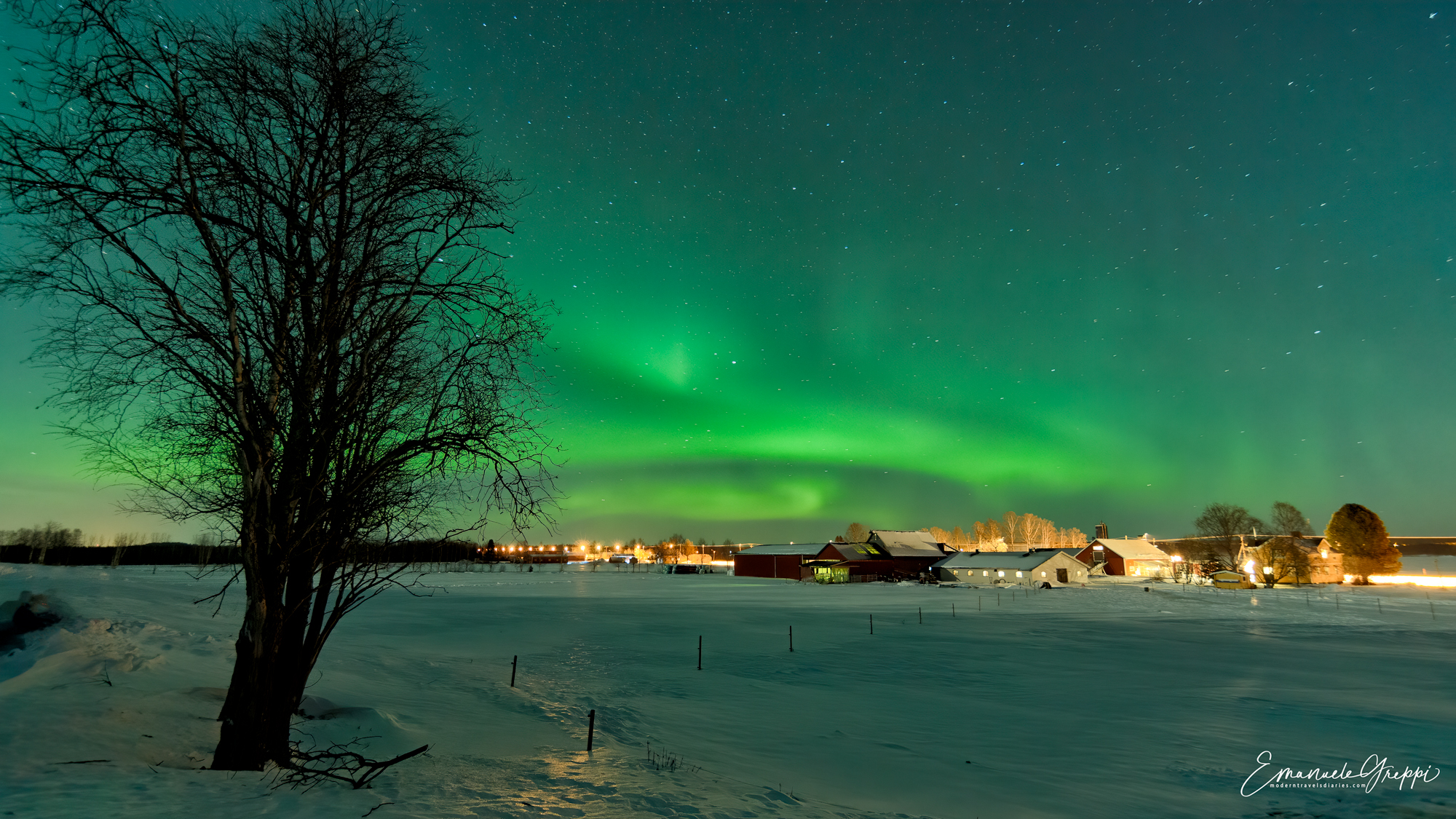 La Regina della notte