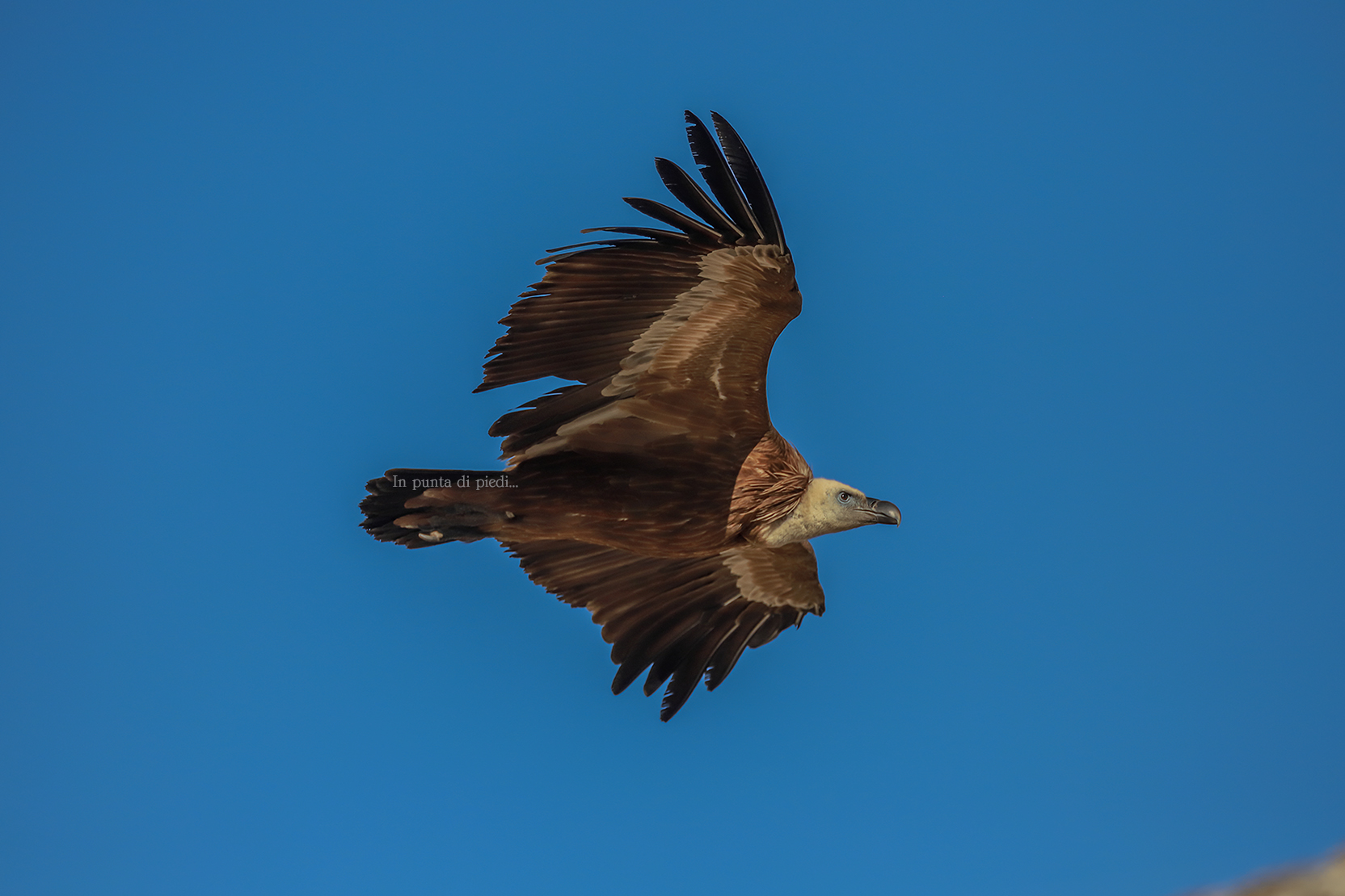 After a long time...