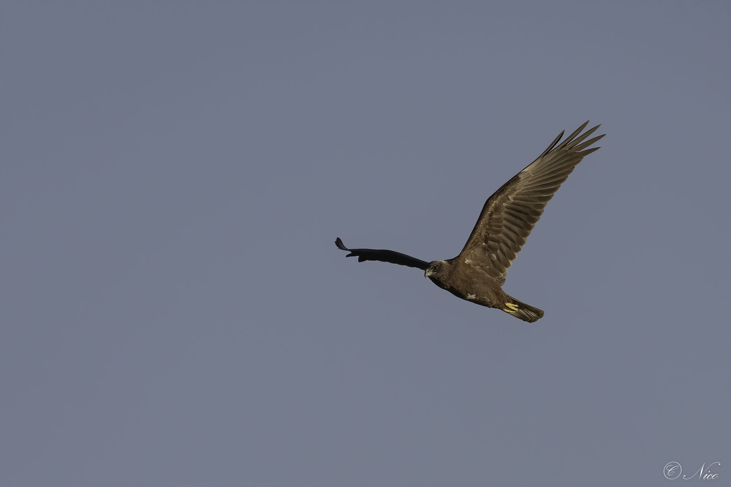 I'm getting closer and closer