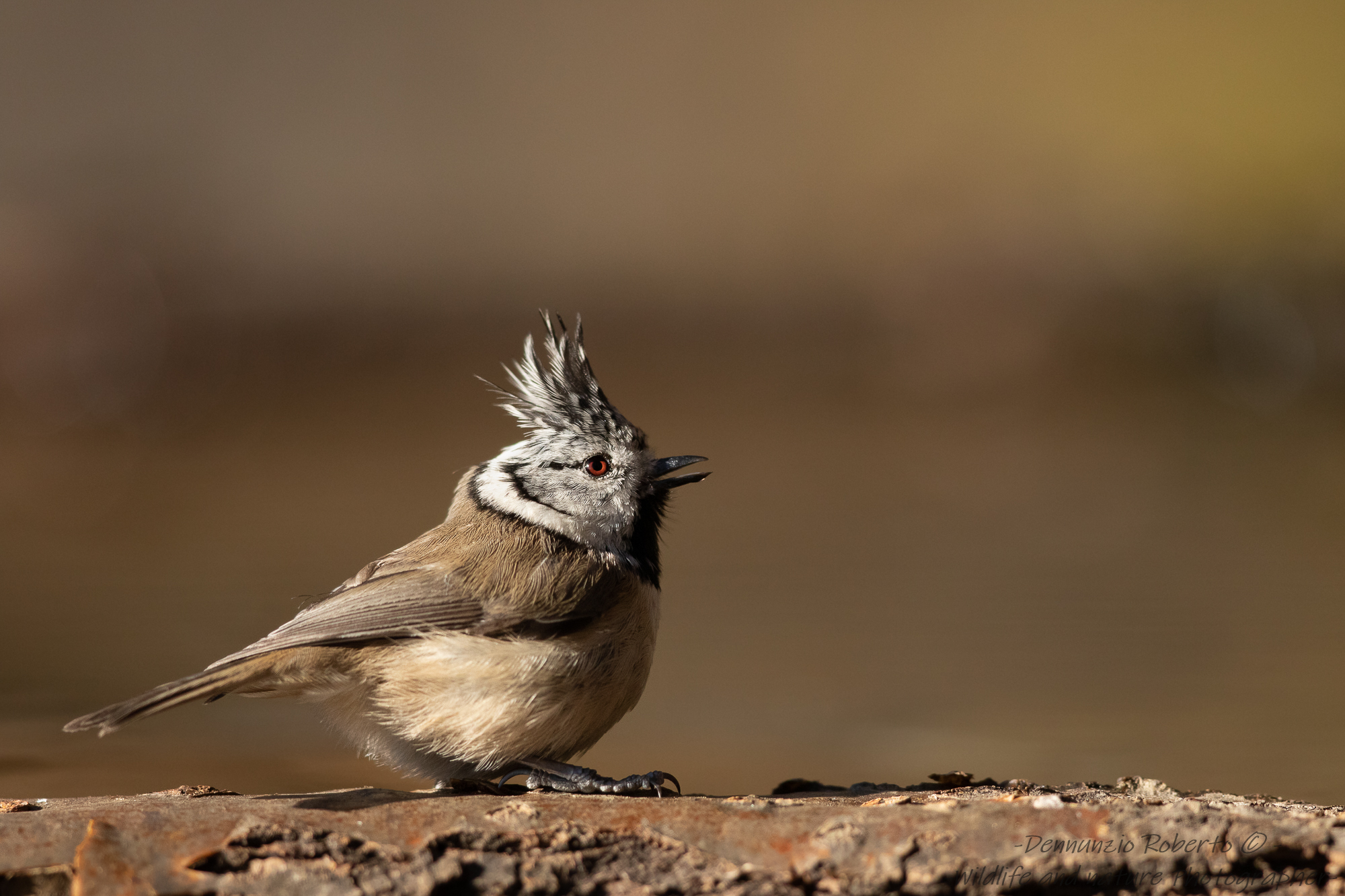 test 300 2.8 IS USM 2