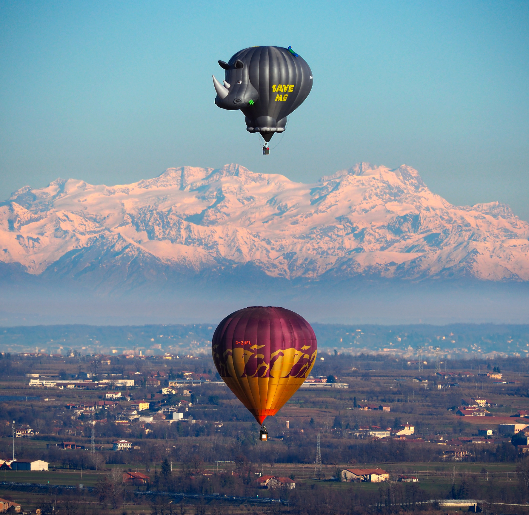 Salviamo il Rinoceronte!