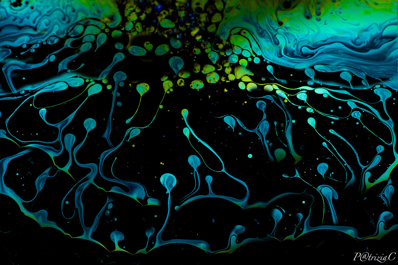 __bolle di sapone __(12)