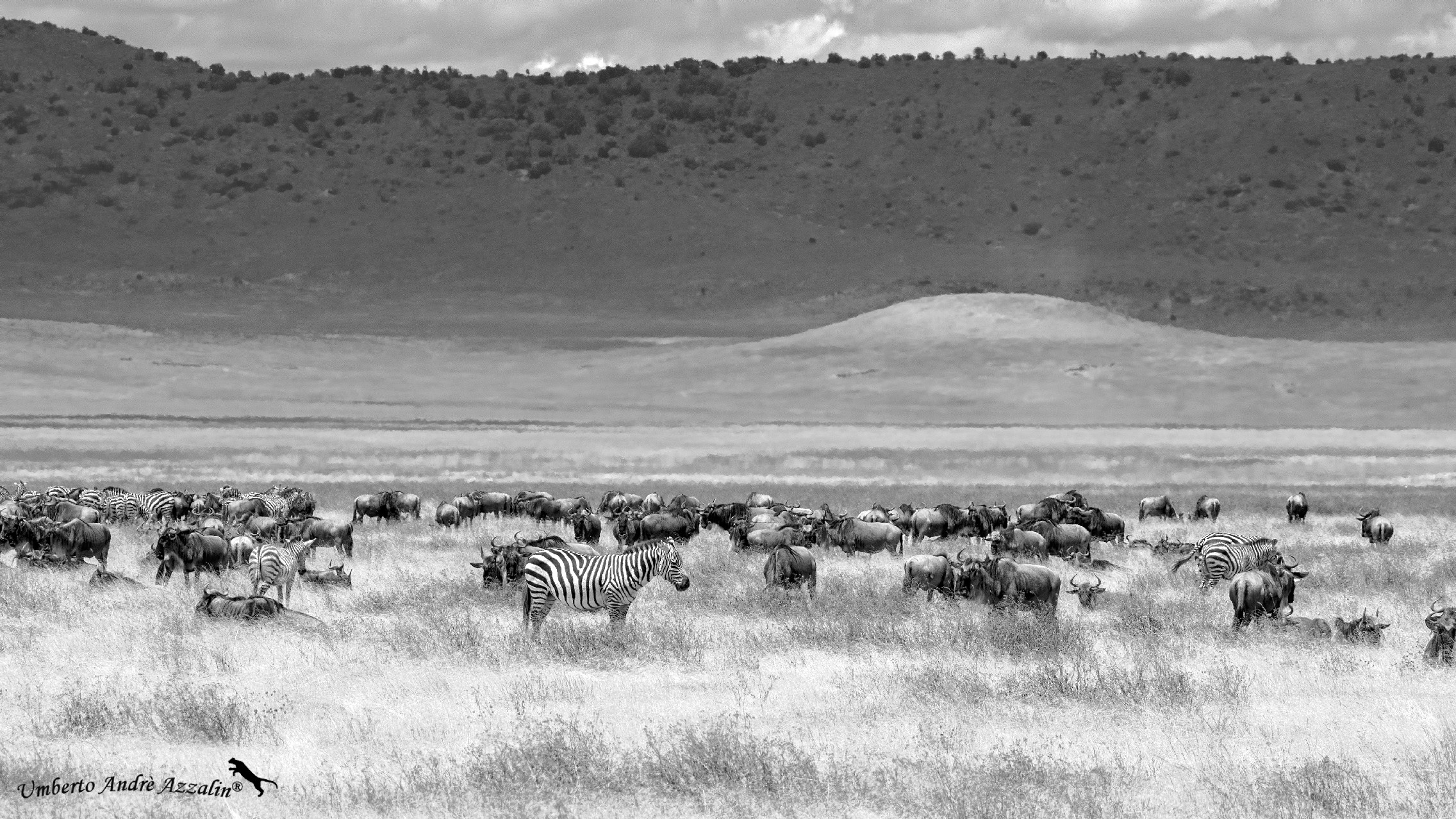 Ngorongoro B&W 1