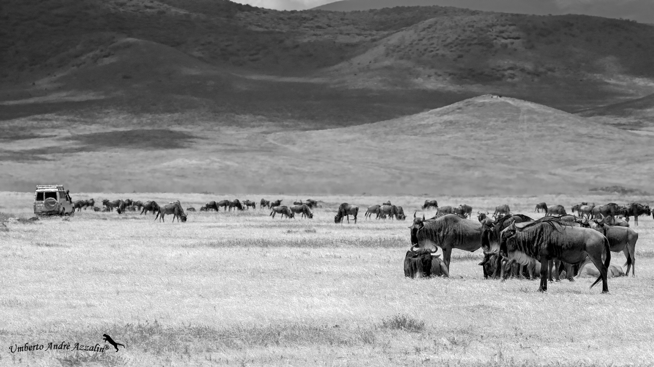 Ngorongoro B&W 3