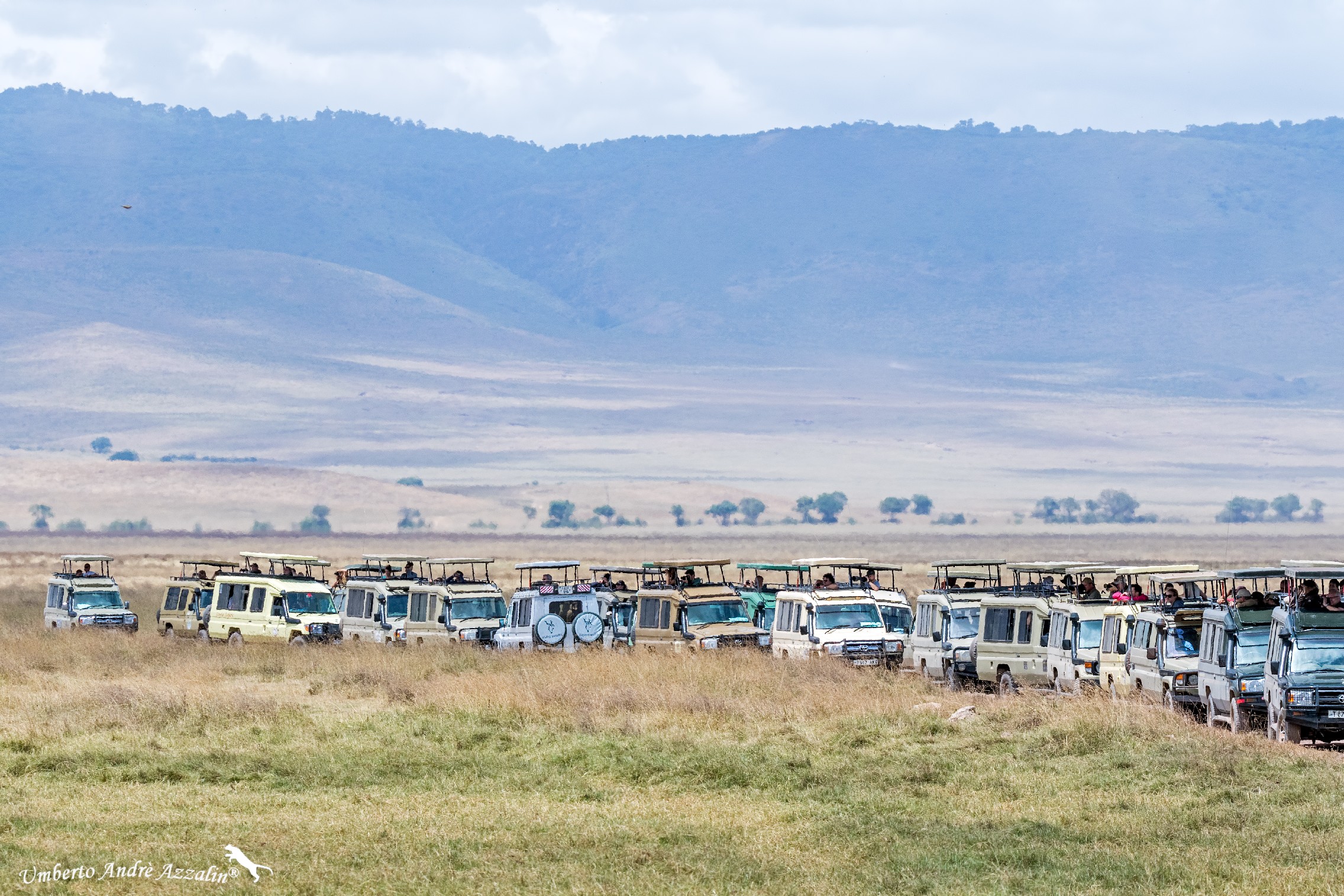 Salerno/Reggio Calabria allo Ngorongoro