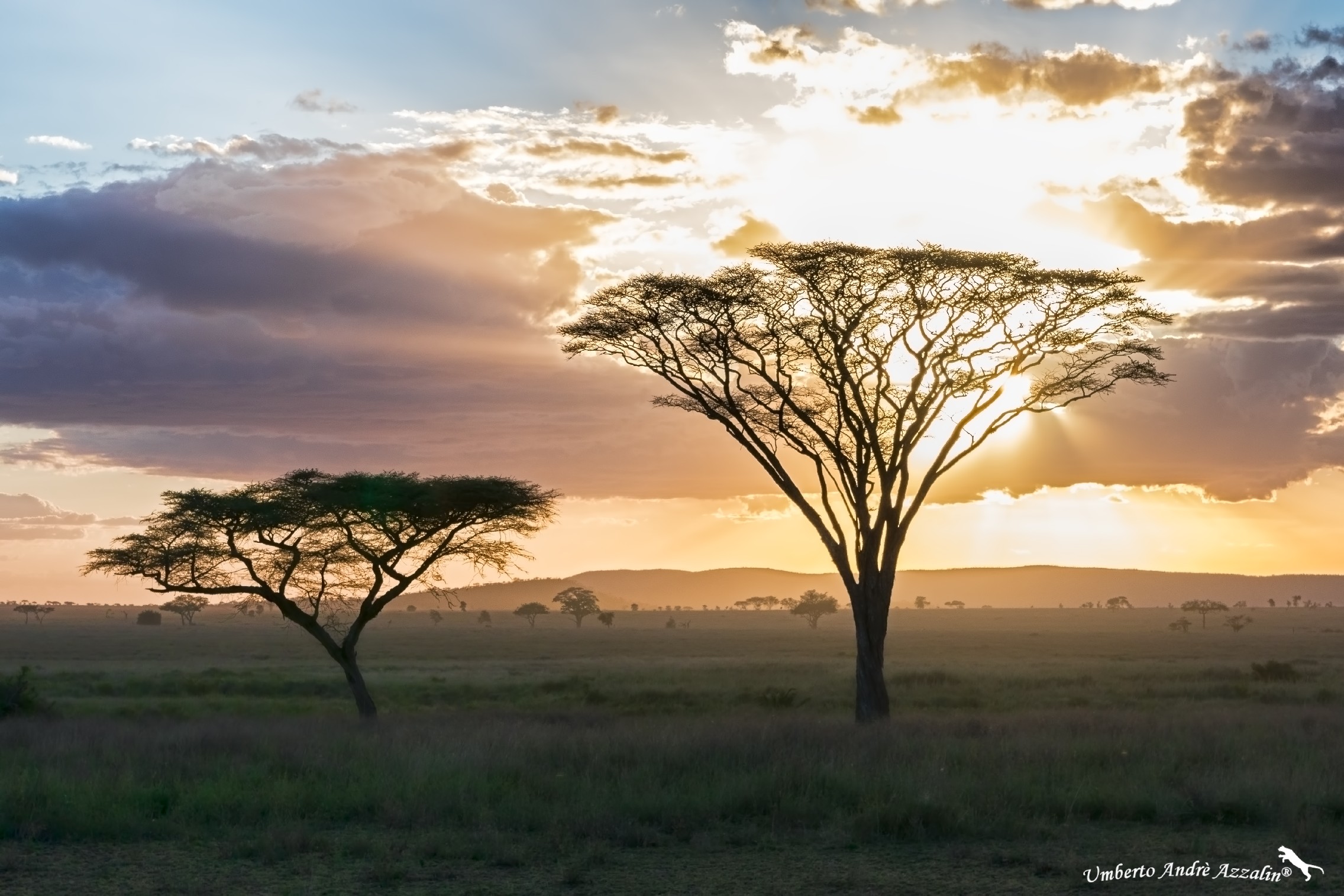 Tramonto sul Serengeti