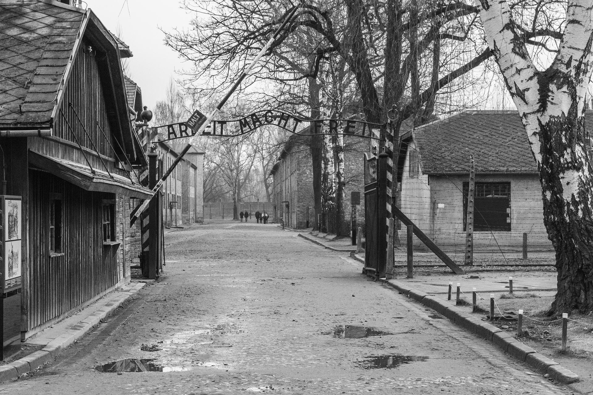 Auscwitz - work makes free