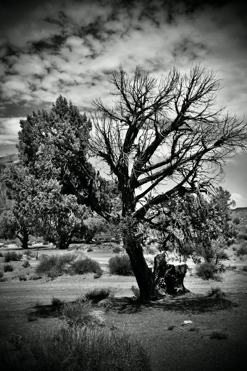 Be strong and patient x the times you'll feel bare