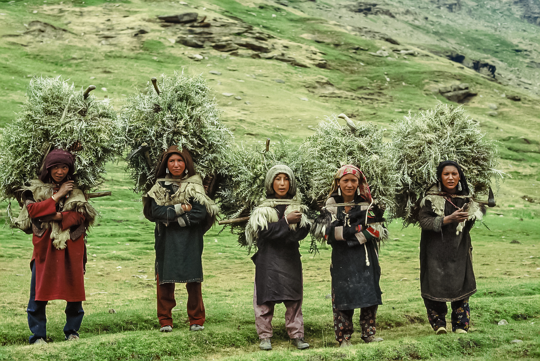 Ladakh women at work