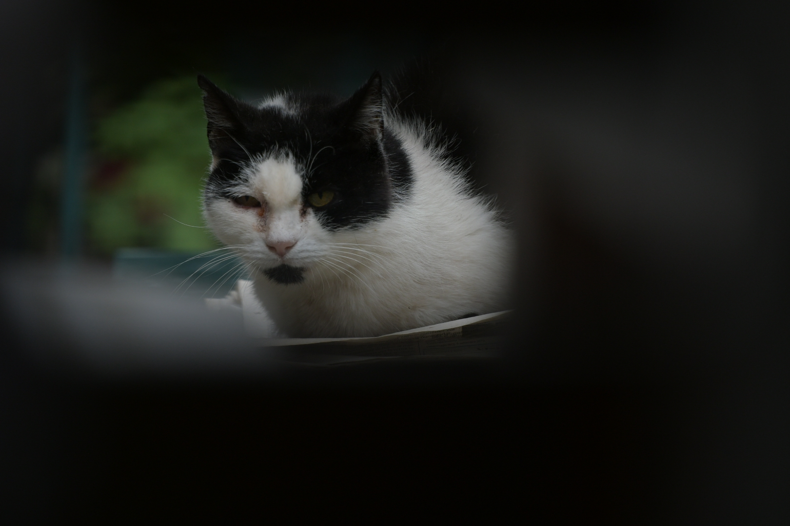 La bellezza di uno sguardo