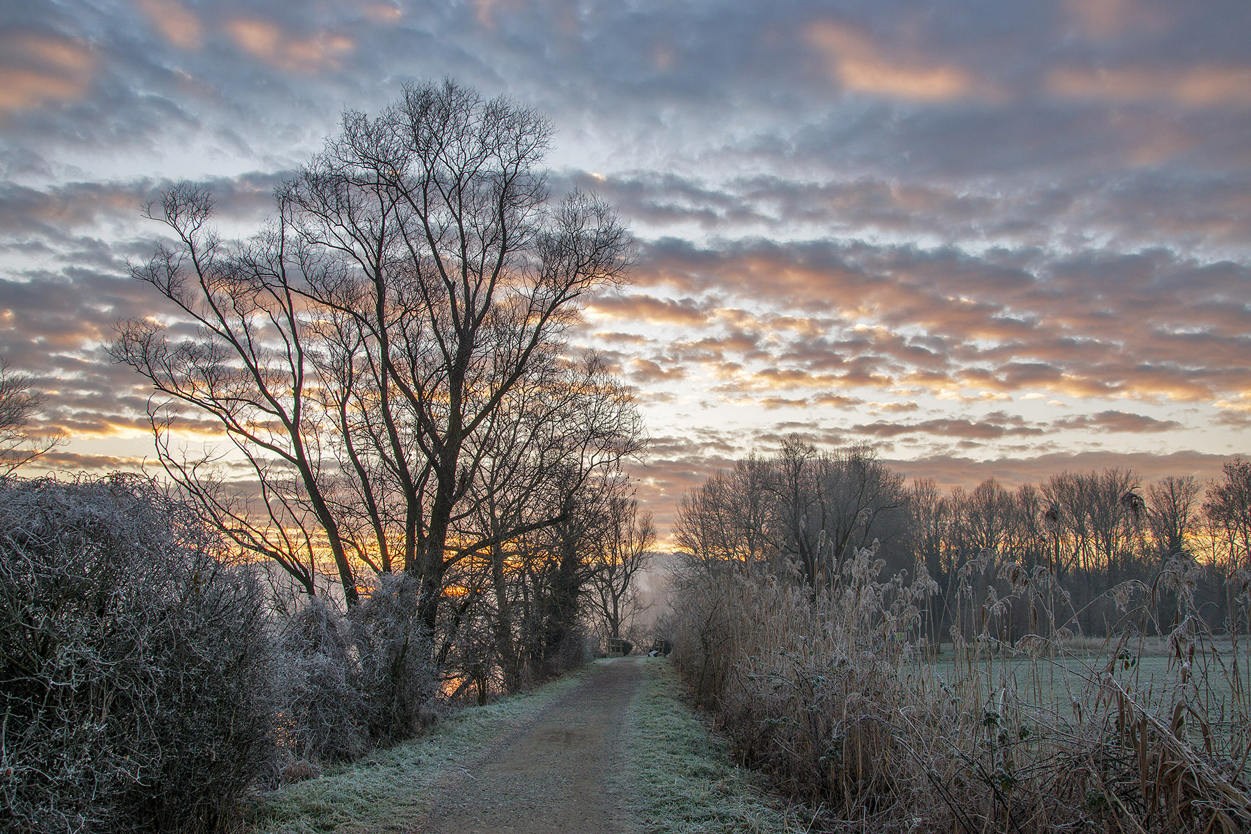 una fredda mattina di dicembre