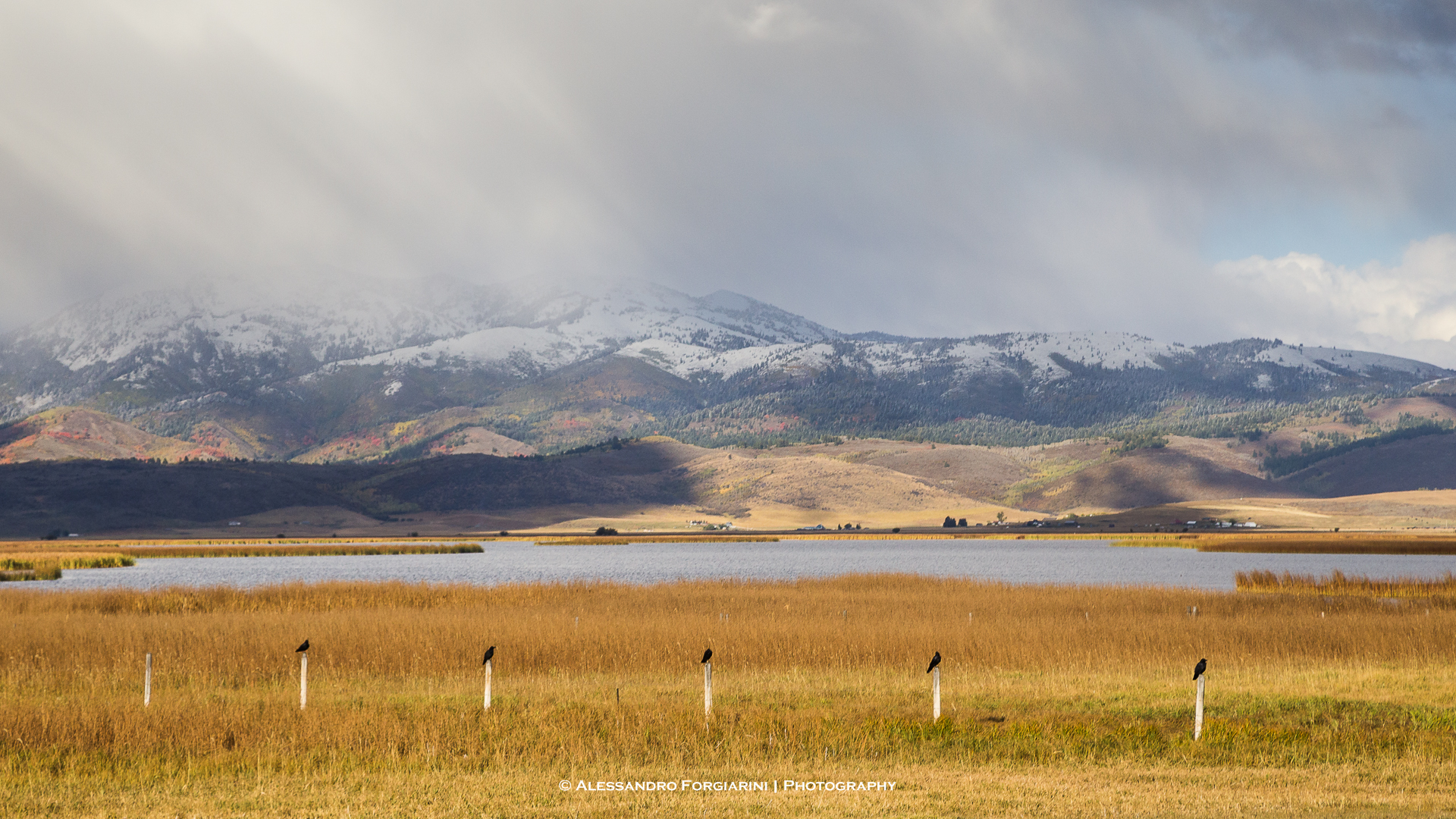 ...ne manca solo uno...