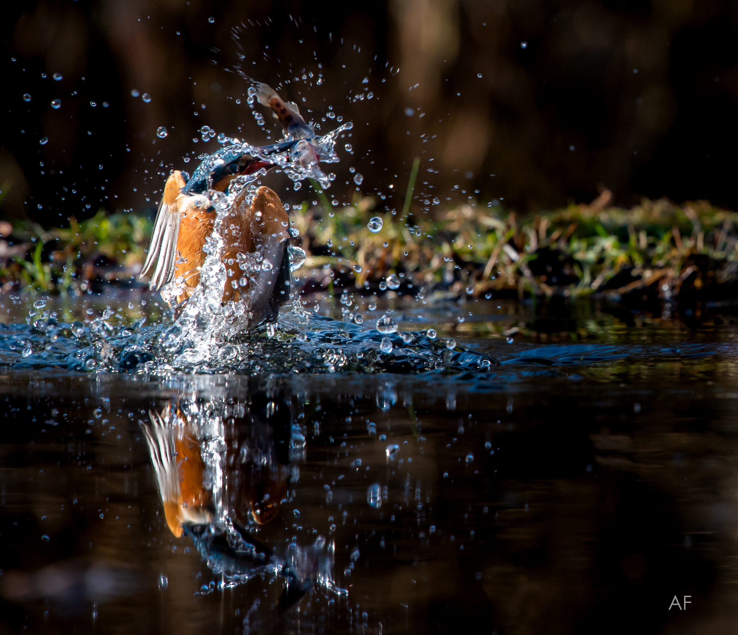 finalmente a pesca!!