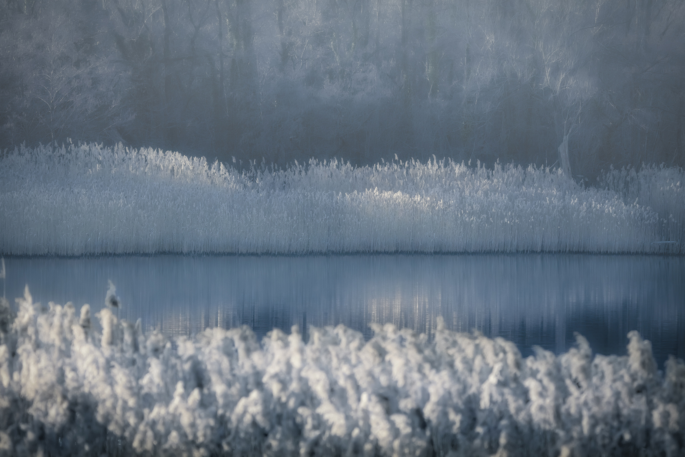 Un mondo in bianco e blu