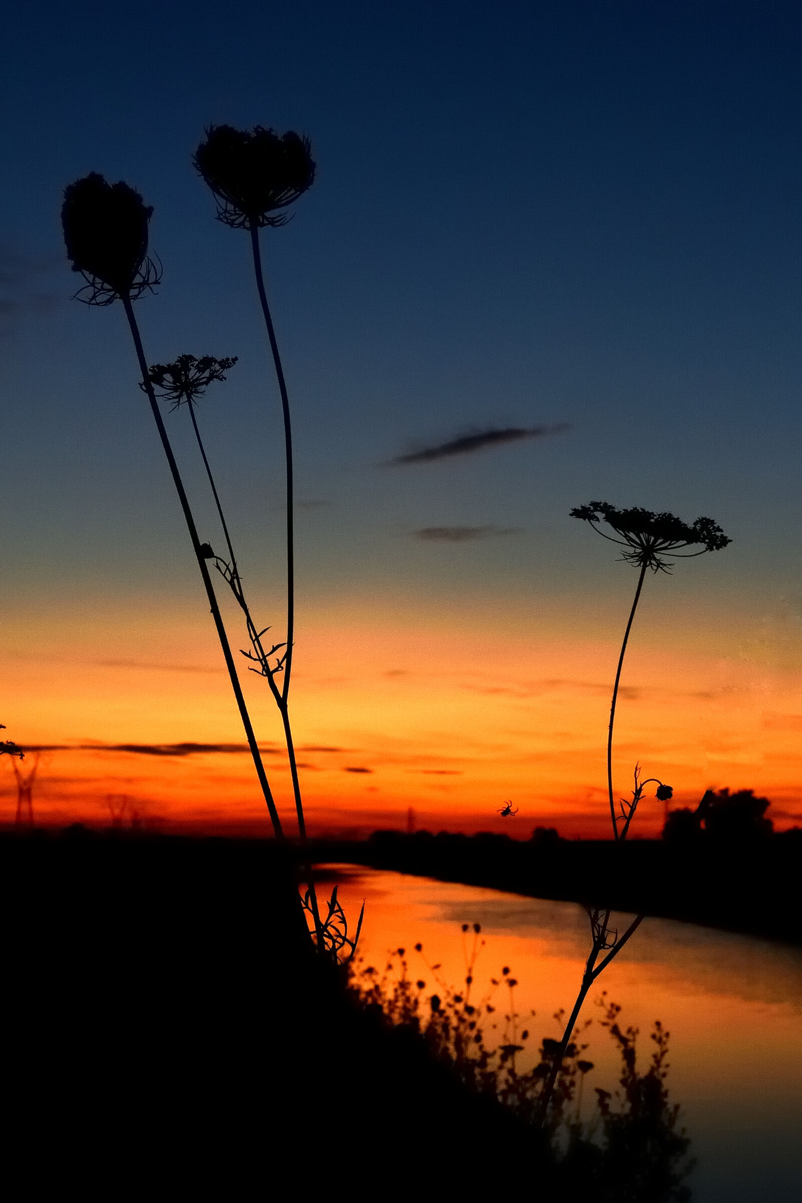 Tramonto nel canale Emiliano
