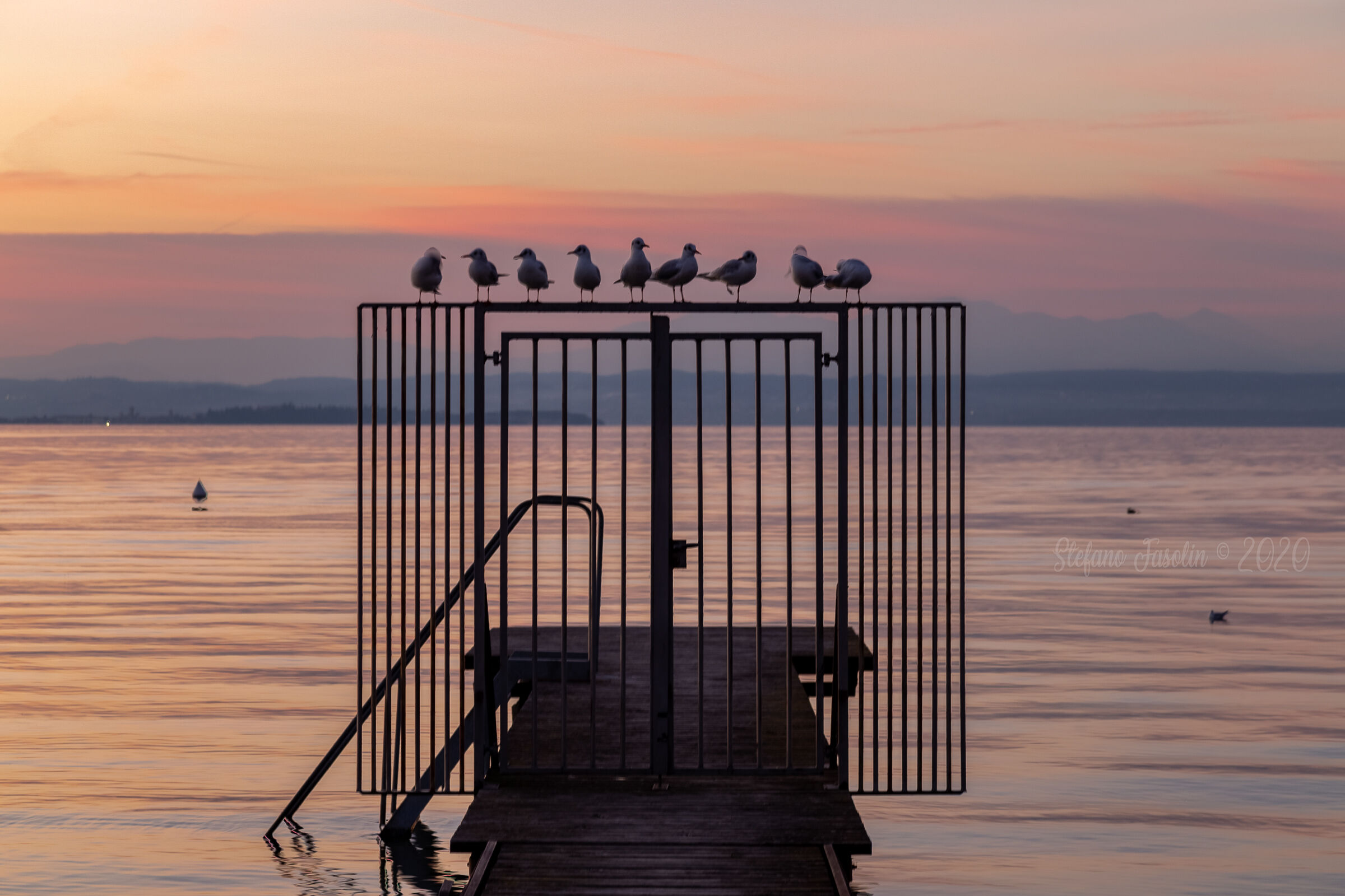I guardiani del molo