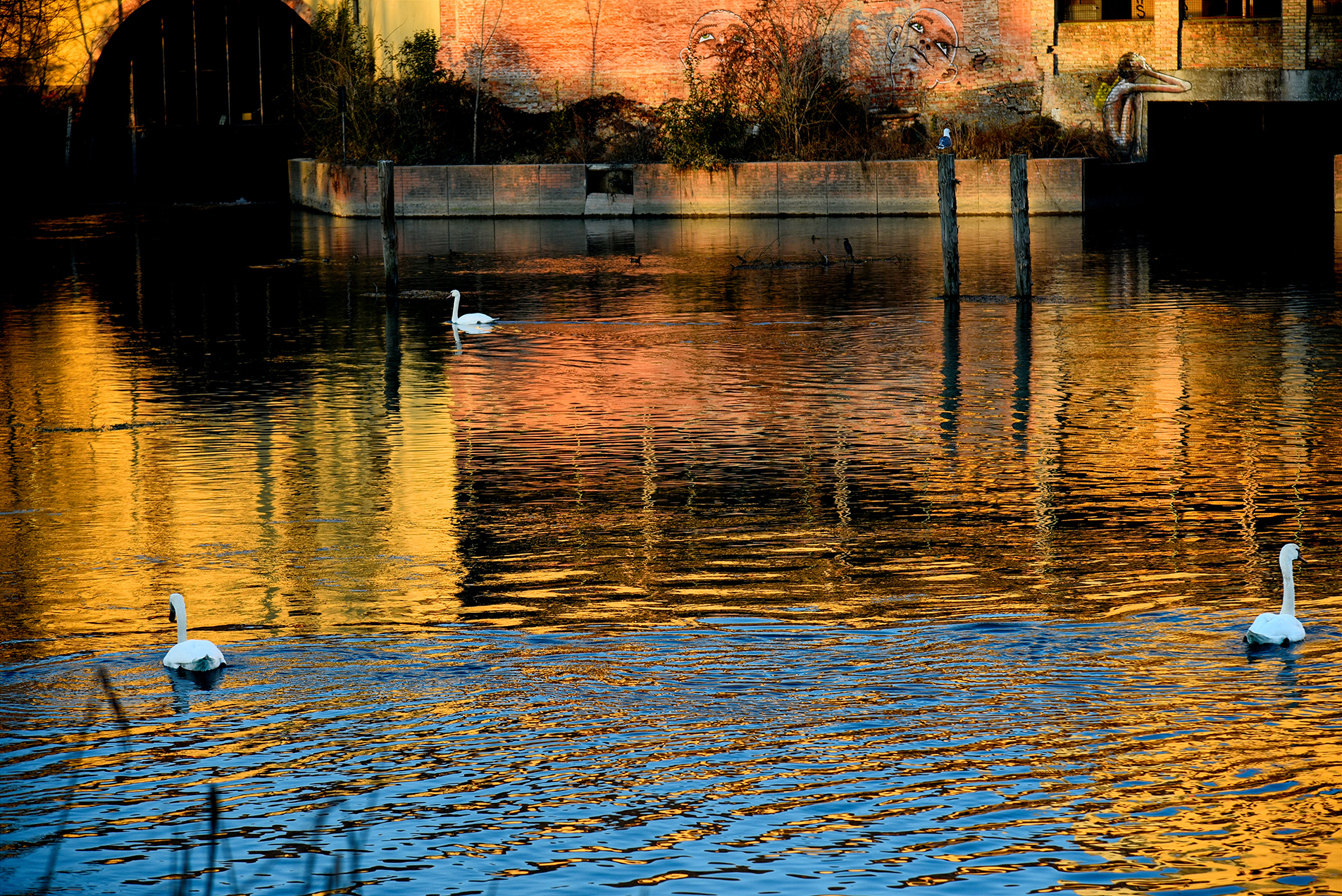 falls in the evening