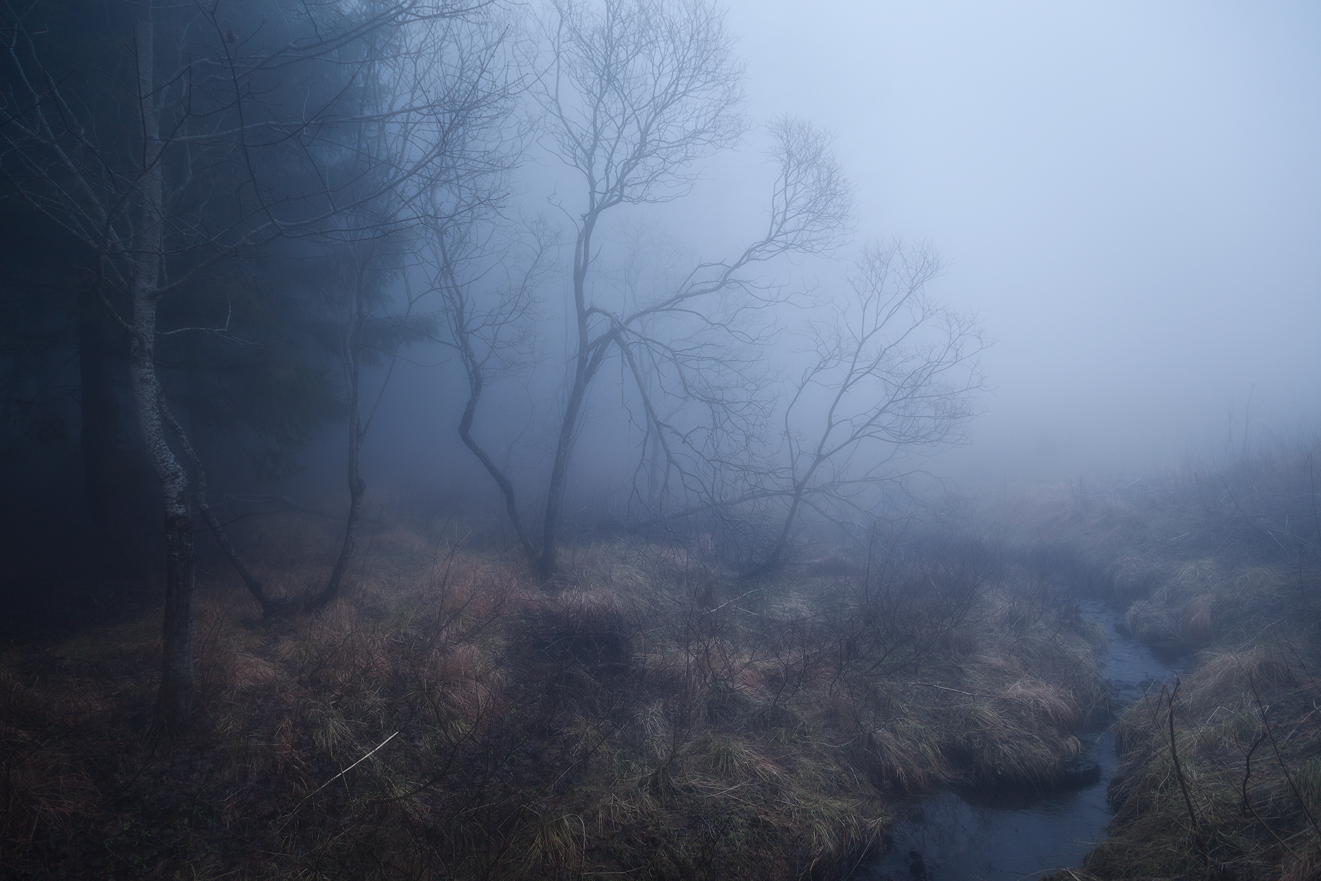 Silent fog