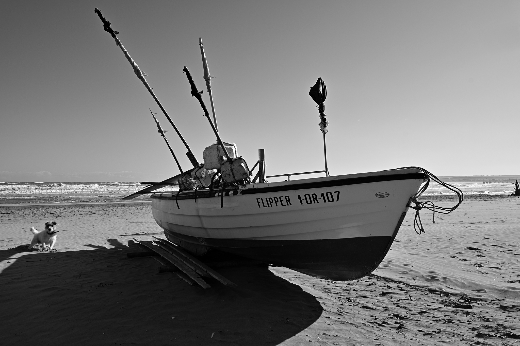 Piccolo mozzo offresi