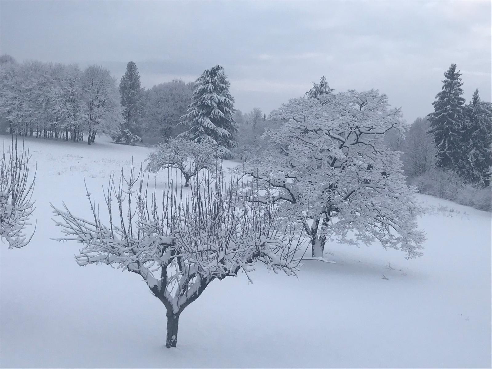 Inverno colorato di bianco