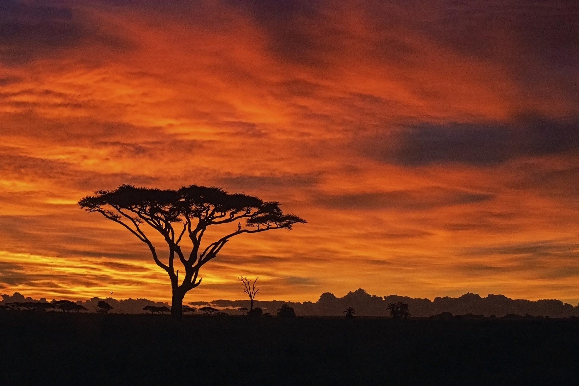 African Sunrise