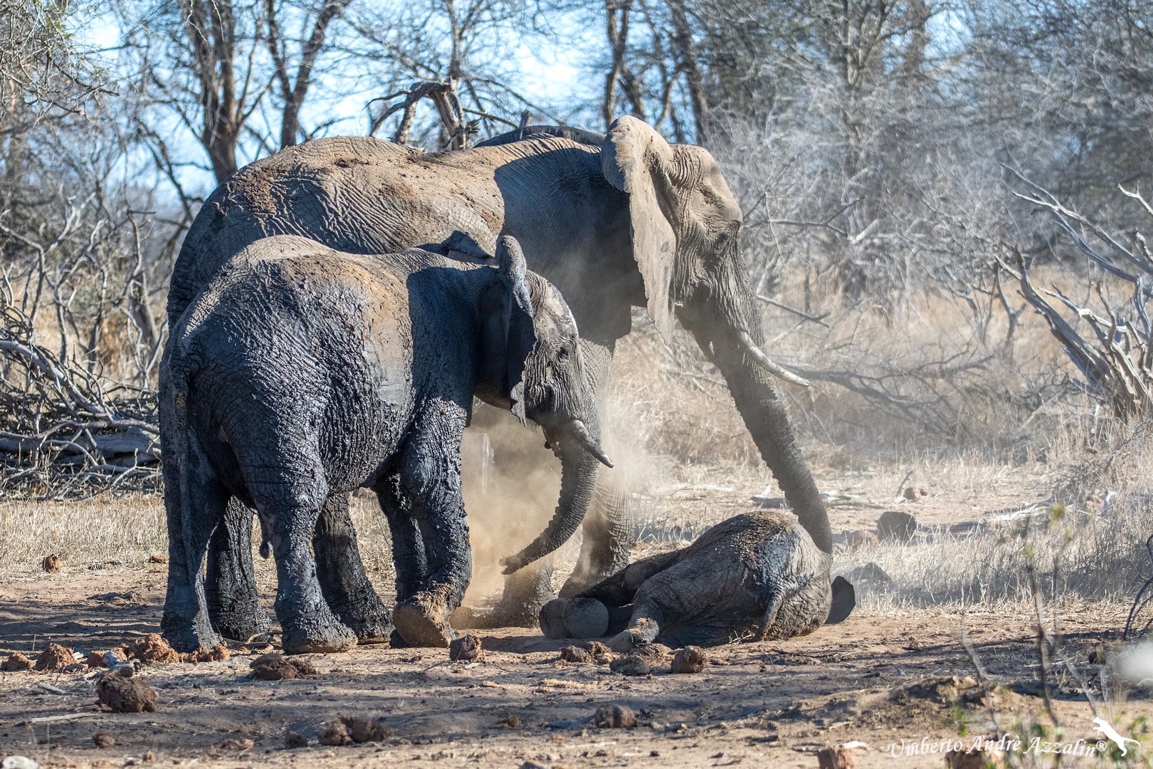 Bagno di sabbia famigliare