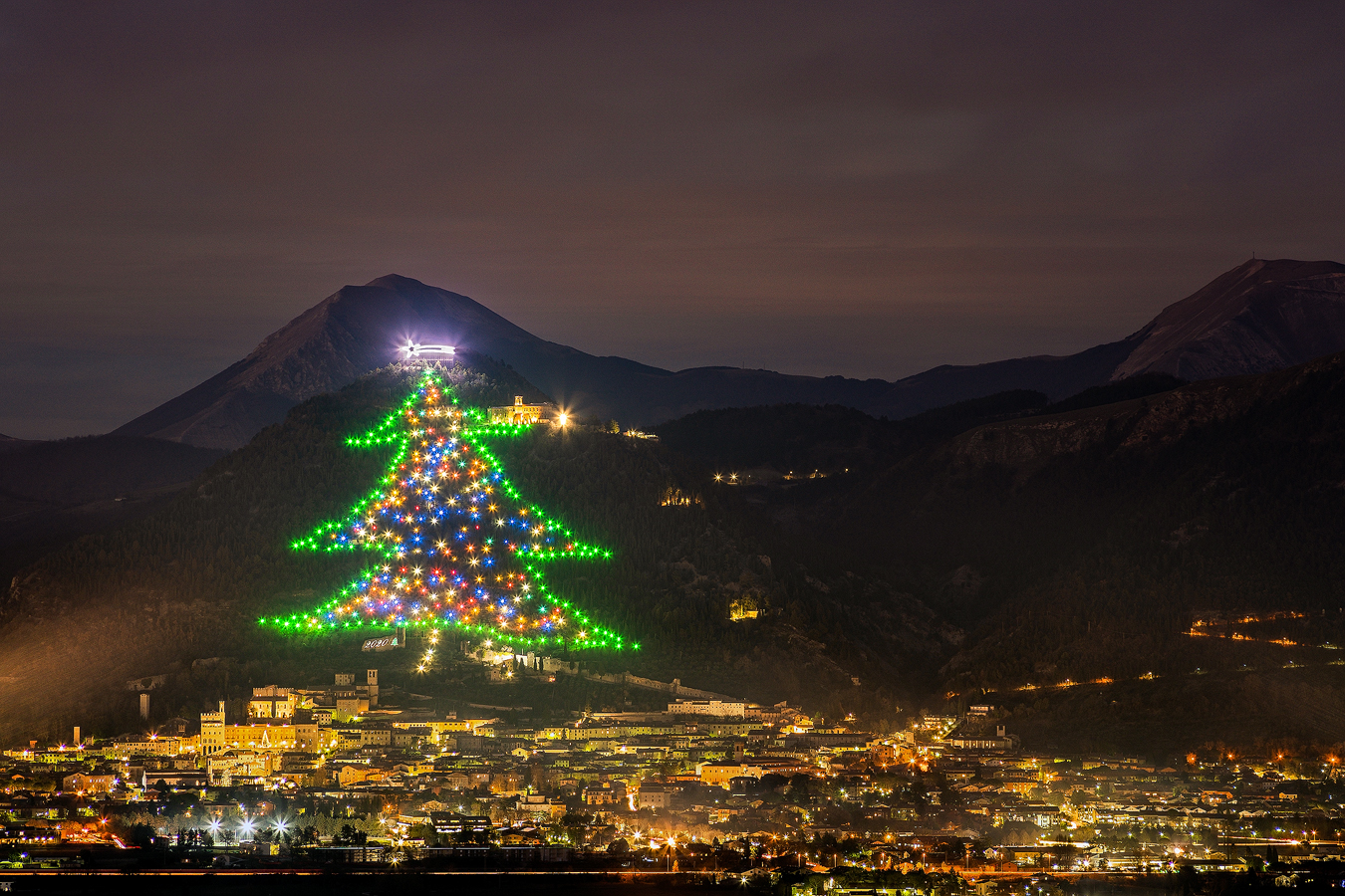 Il più grande albero di Natale al mondo