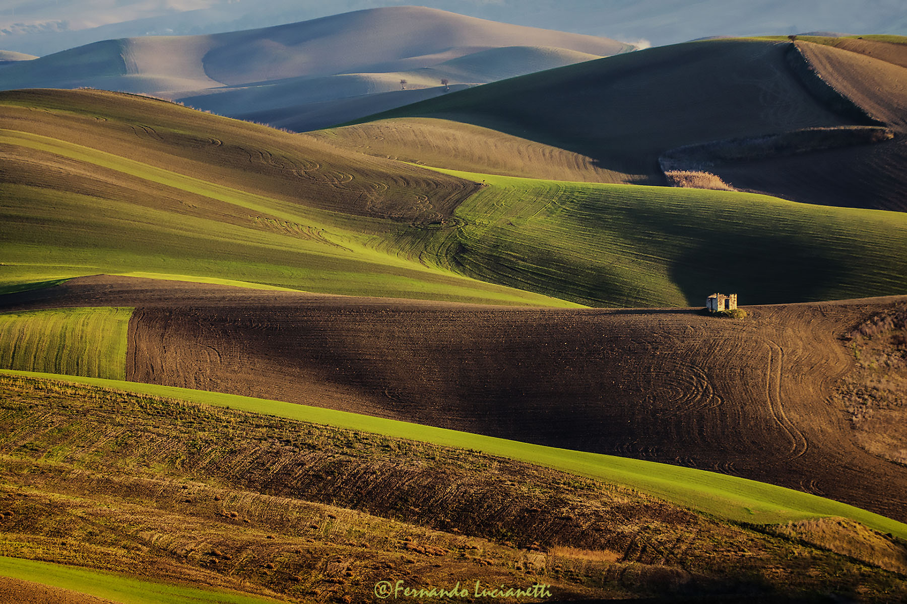 Basilicata waves