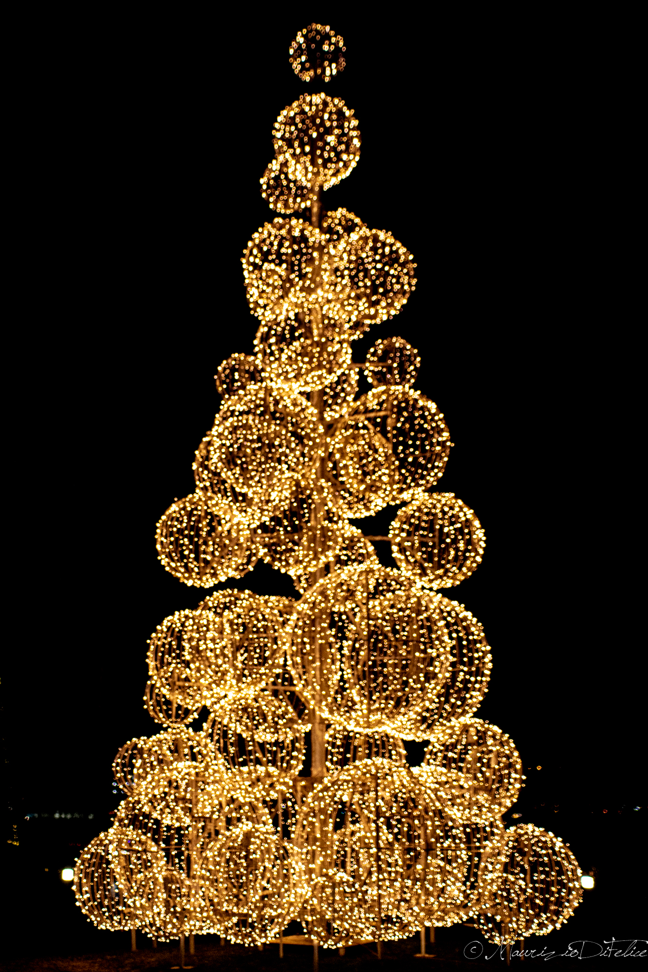 xmas tree in Bryggen