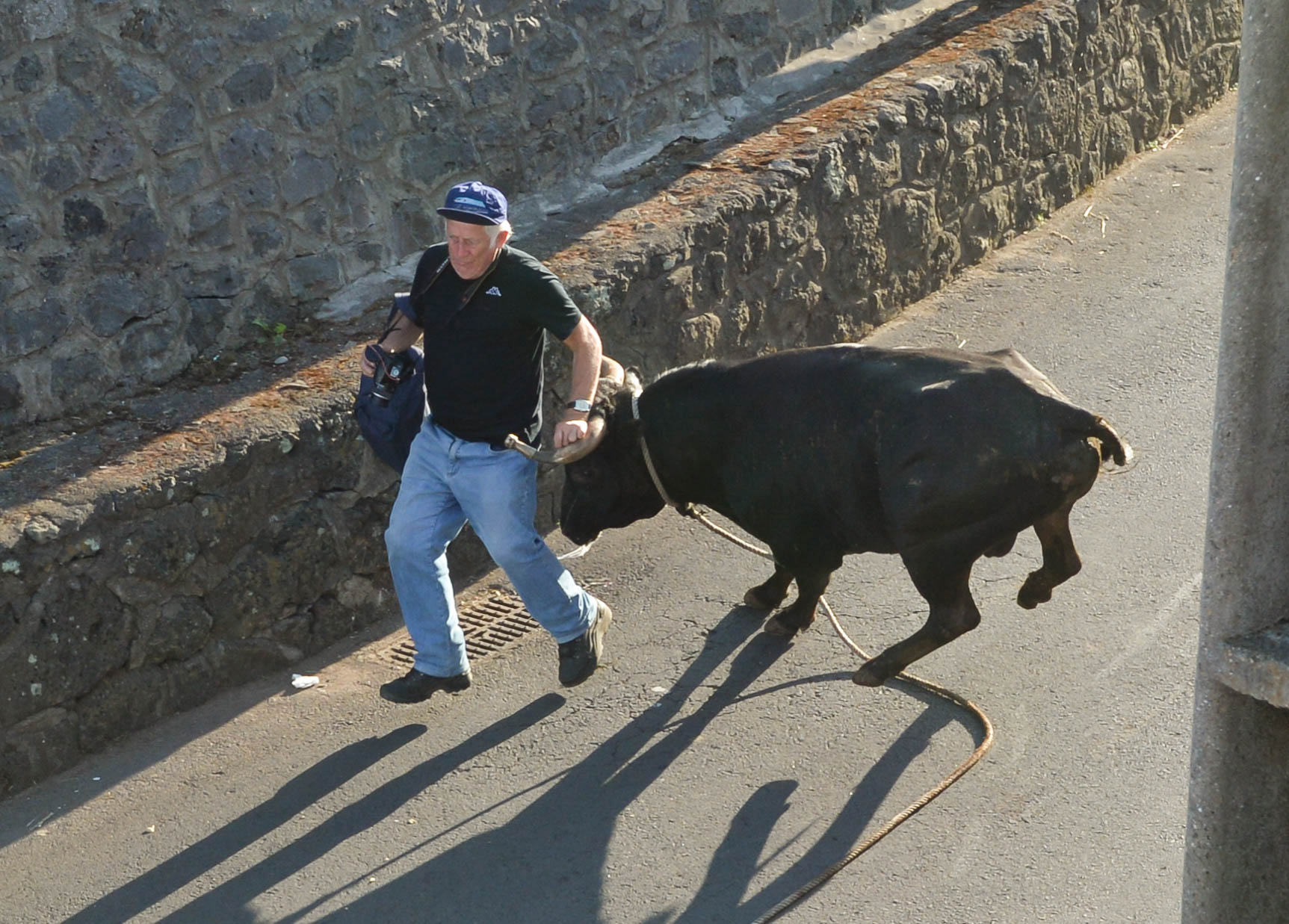 Tourada a Corda, Terceira