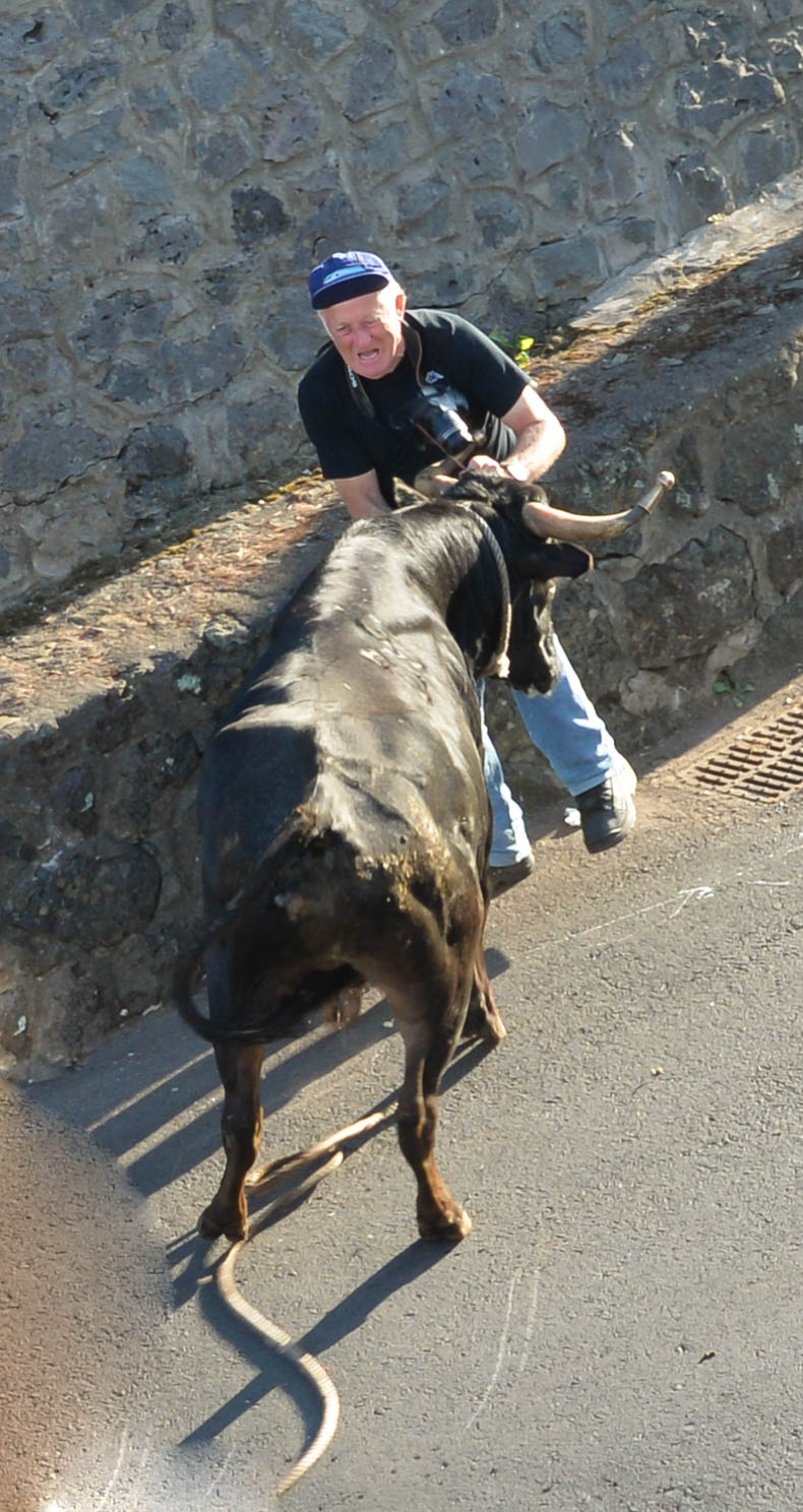 Tourada a Corda, Terceira