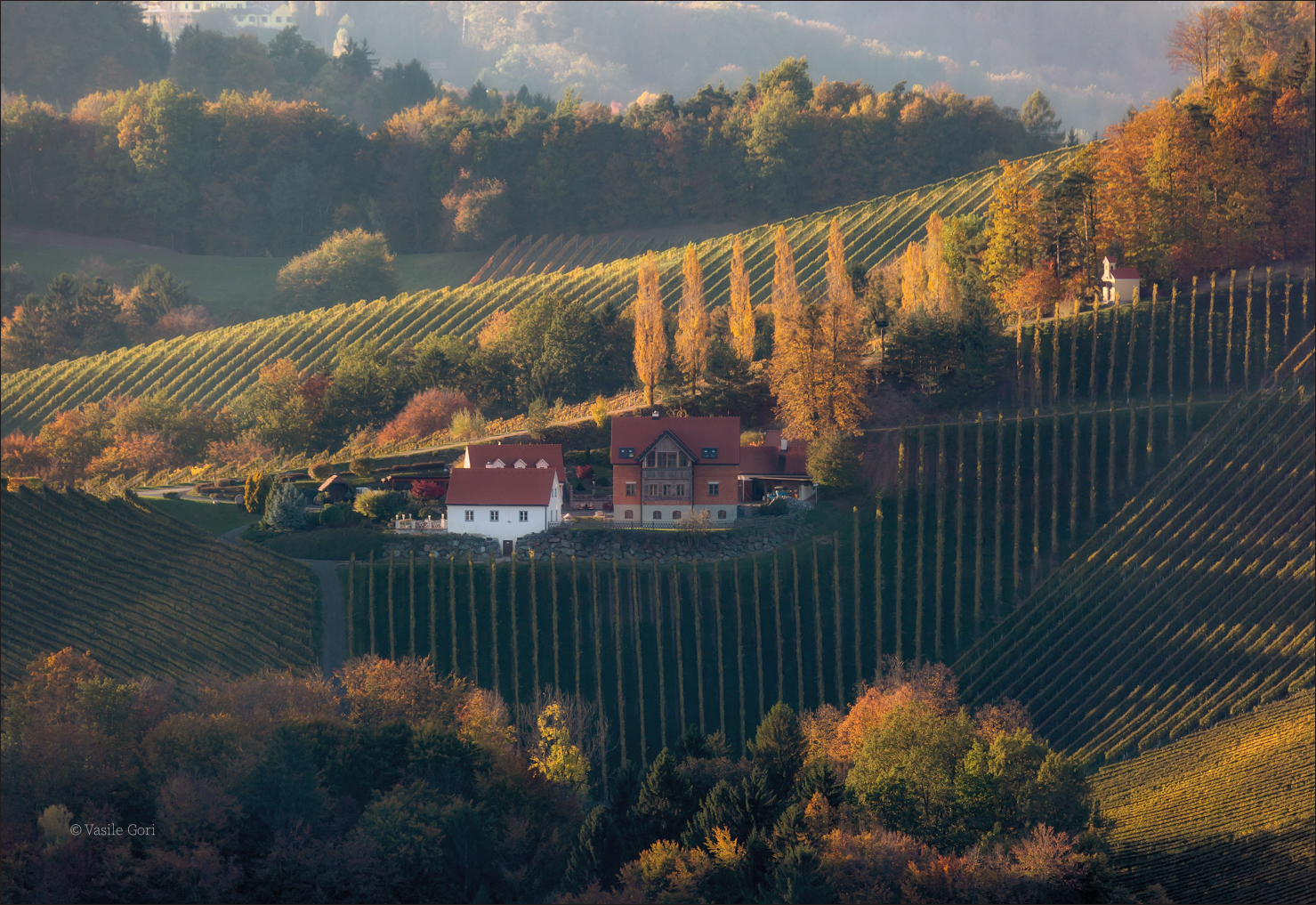 Un tripudio di colori