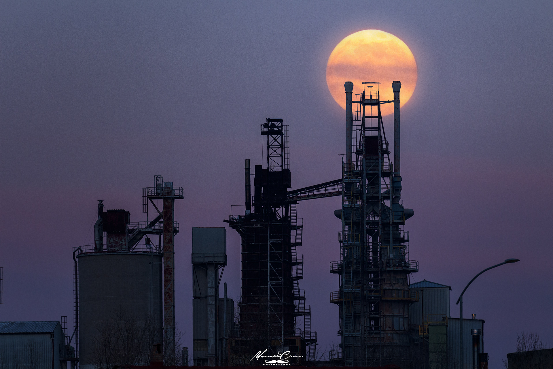 The lady on the night