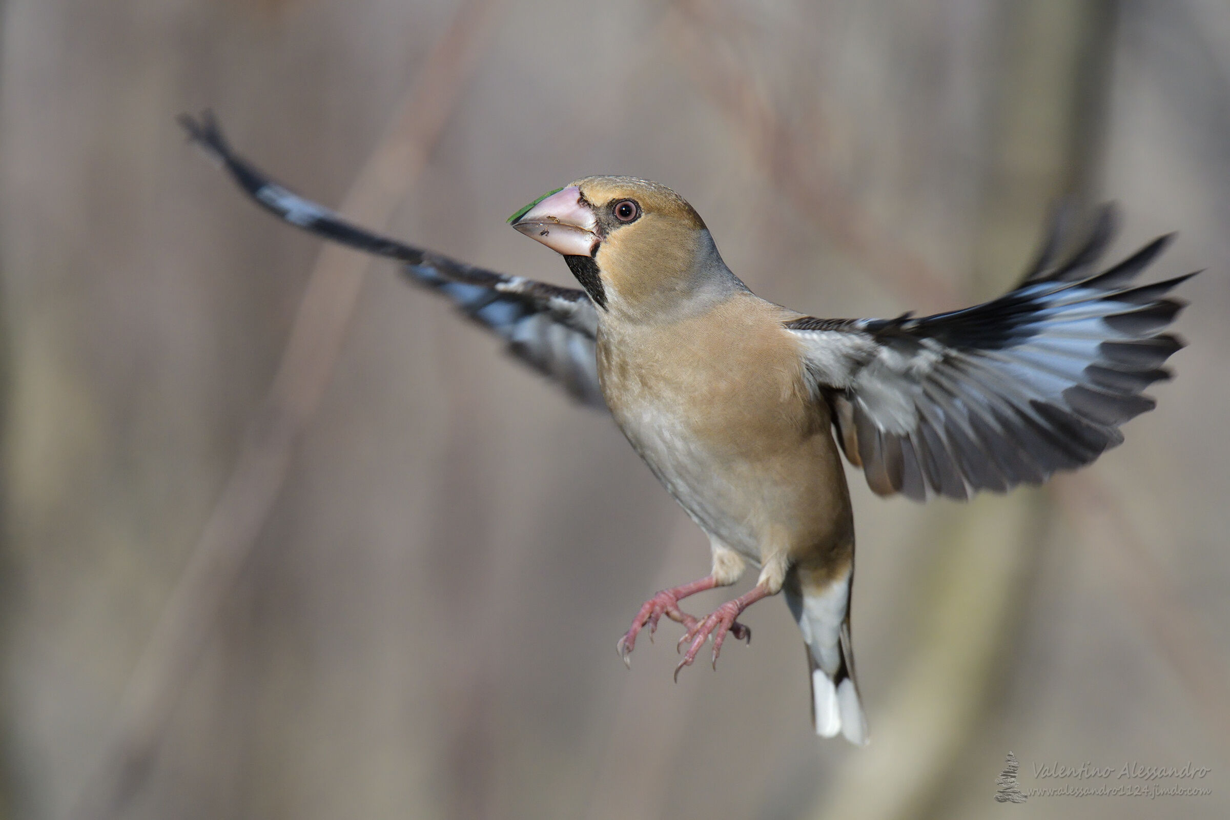 In volo.....Finalmente!!!