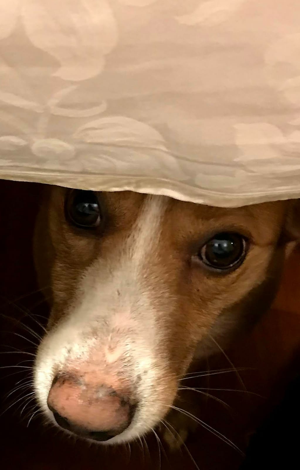 "What exactly are you eating?