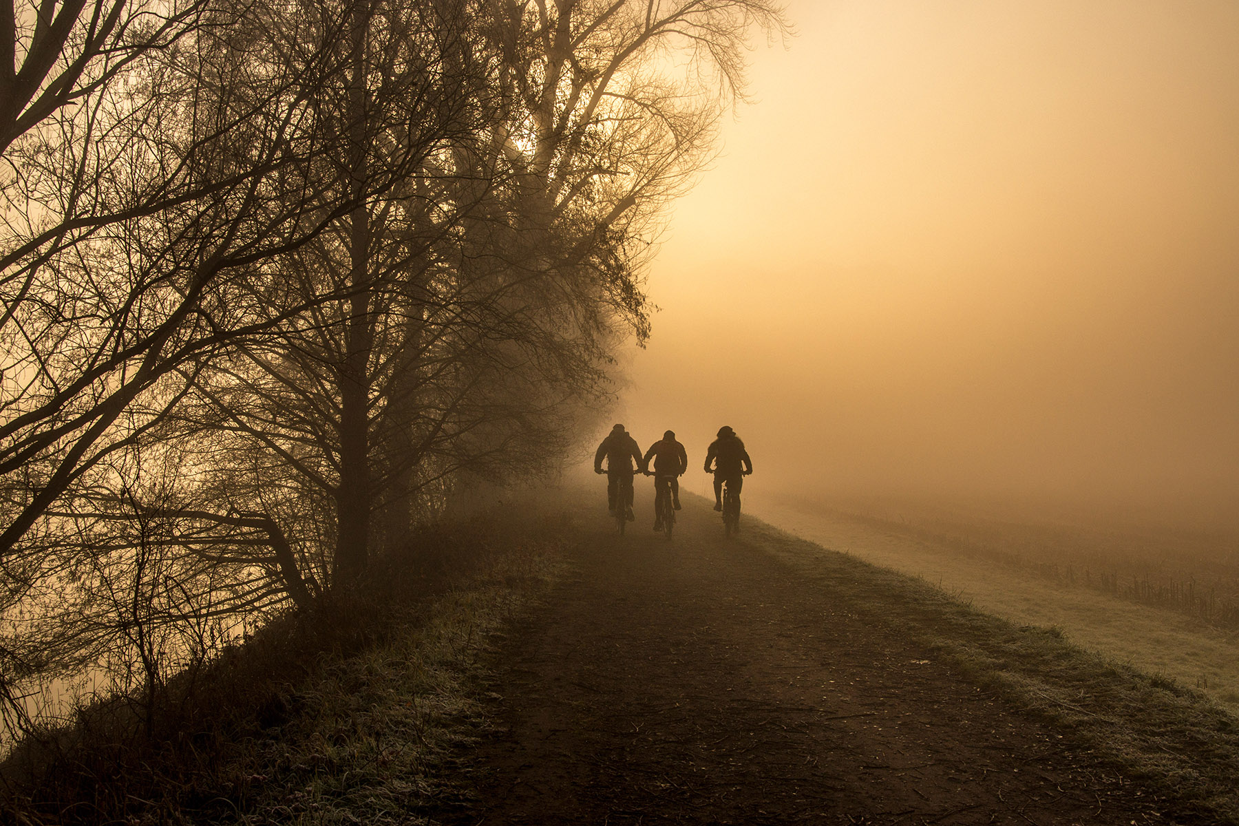 pedaling in the fog