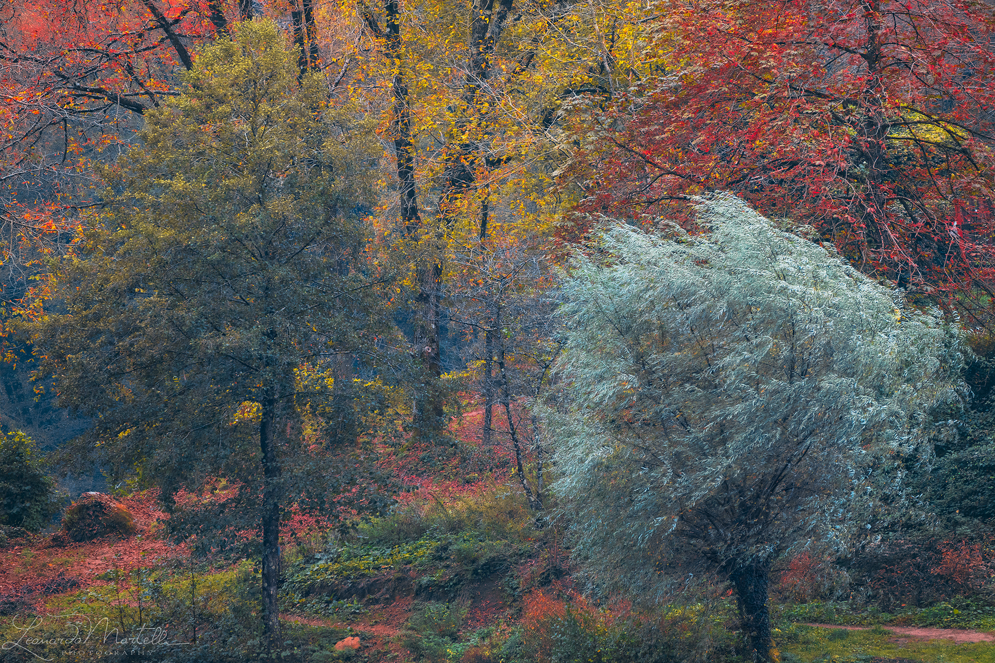 Autumn Color Palette