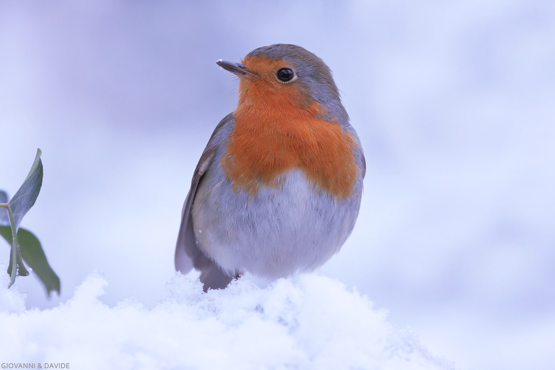 ... Model for a second...