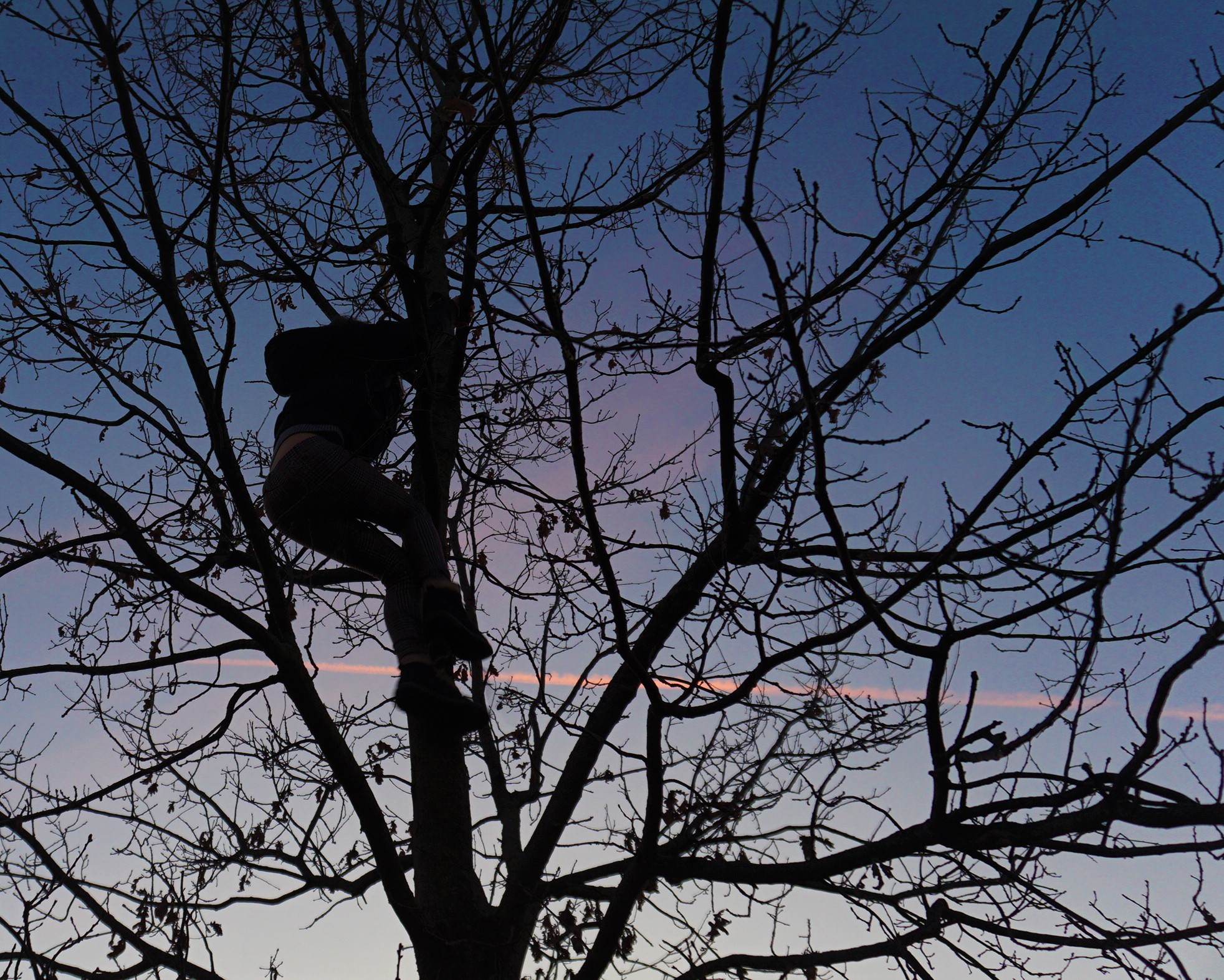 A childhood of research...