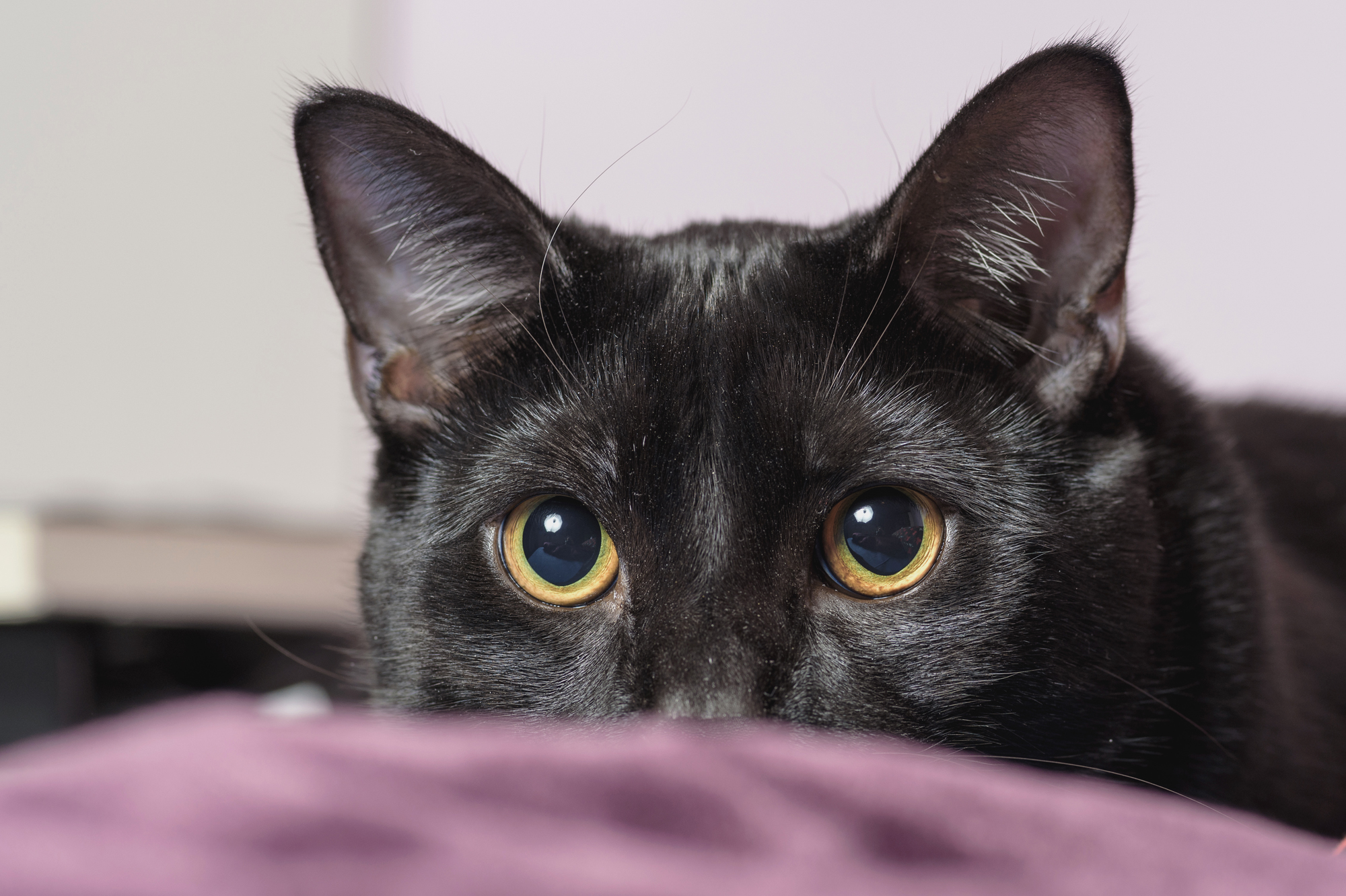 Saturnino e l'octabox...