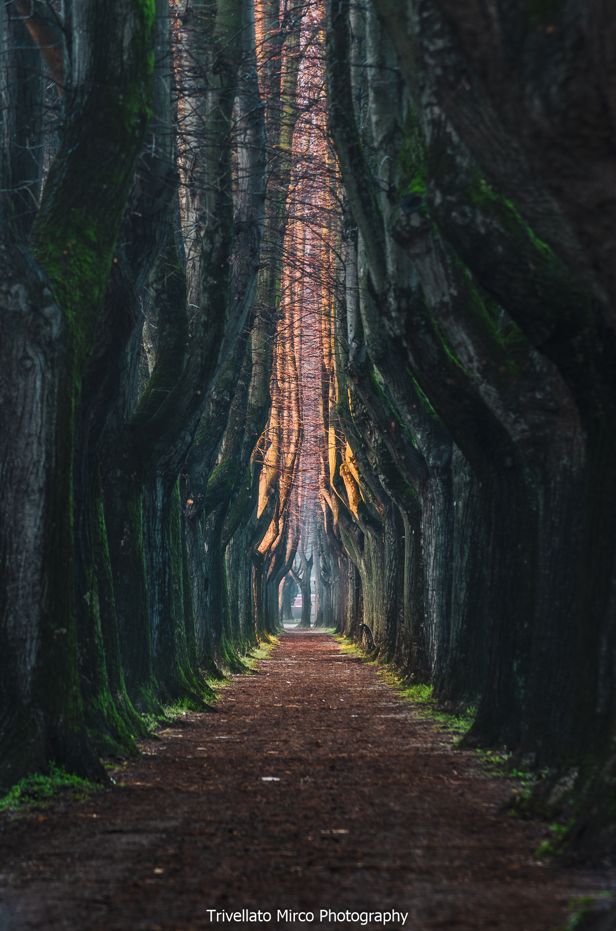 Lucca