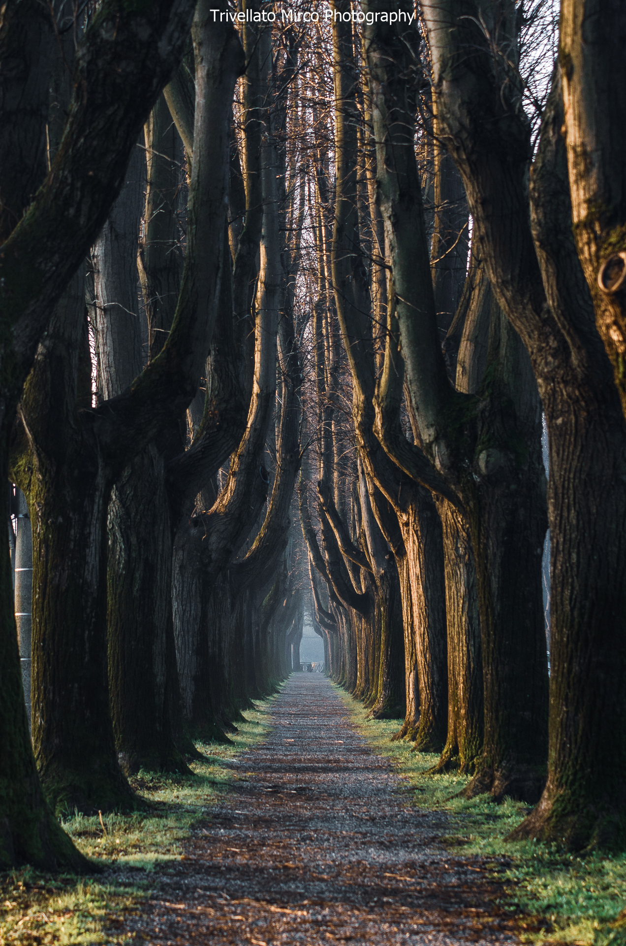 Lucca