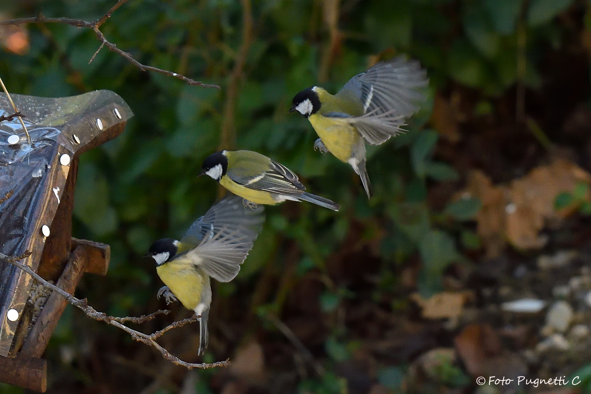 Sequenza di atteraggio